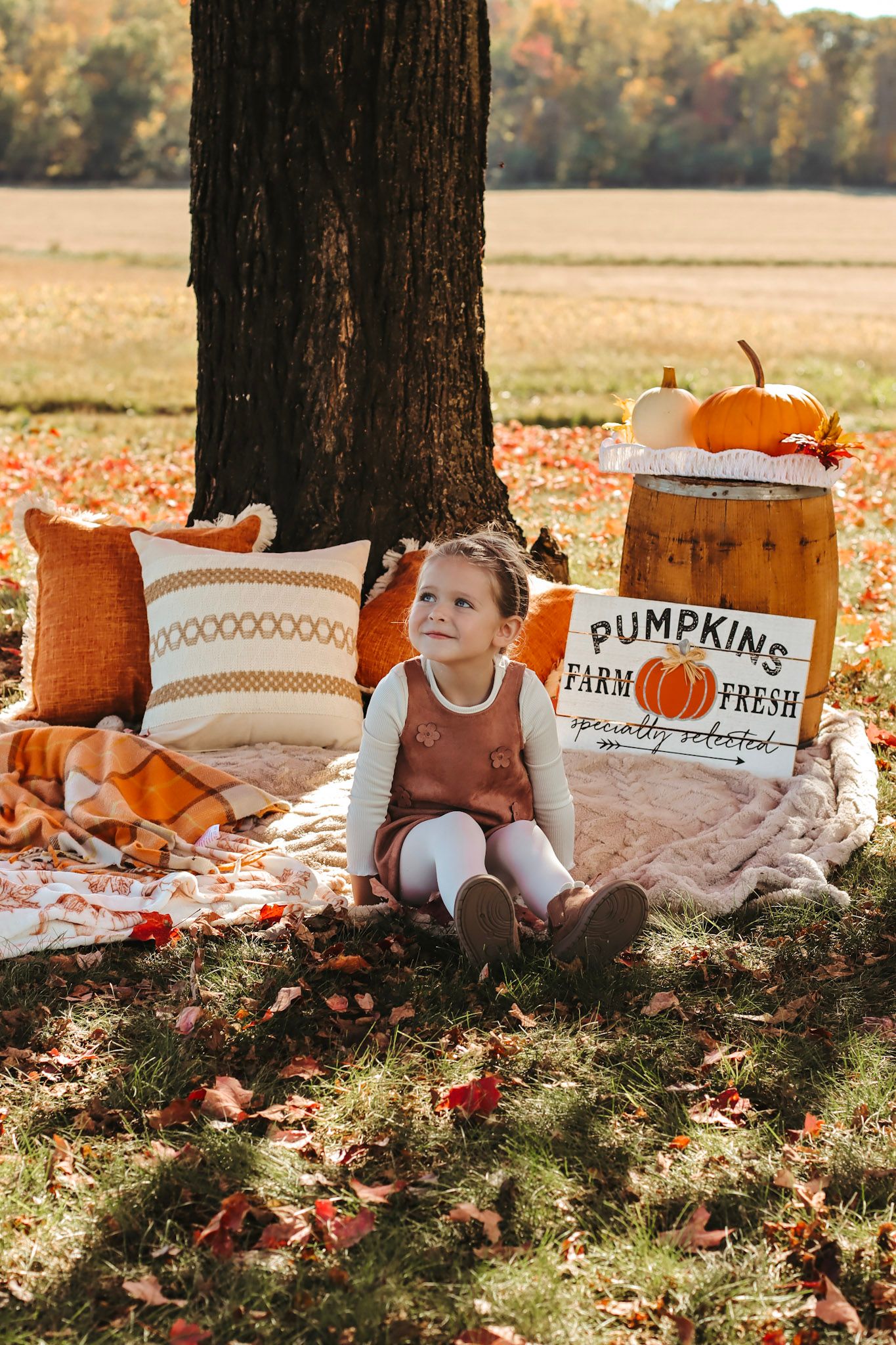 Young girl sitting on a blanket under a tree with fall pumpkins and autumn decor in a seasonal outdoor photo.