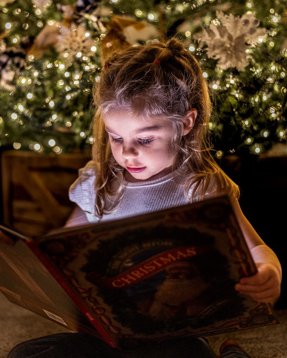 Cincinnati/ Northern Kentucky family Christmas mini session