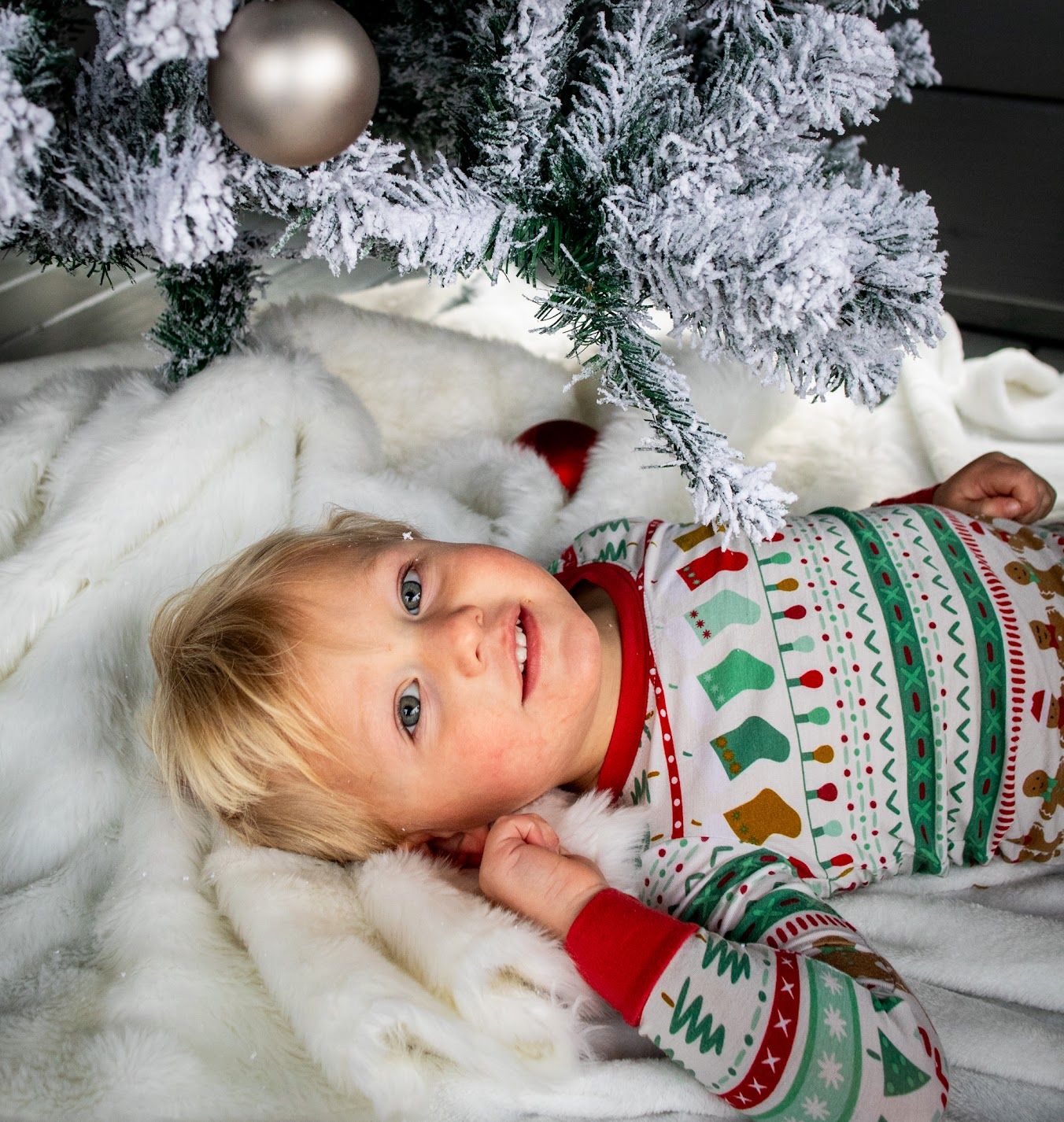 Cincinnati/ Northern Kentucky family Christmas mini session