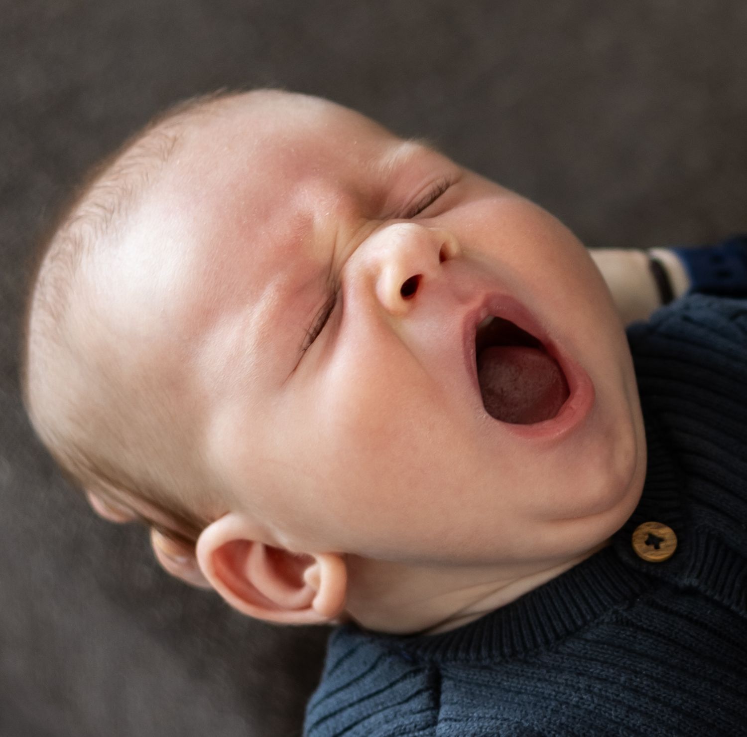 Baby in navy blue sweater yawning with eyes closed in close-up portrait. Cincinnati/ Northern Kentucky