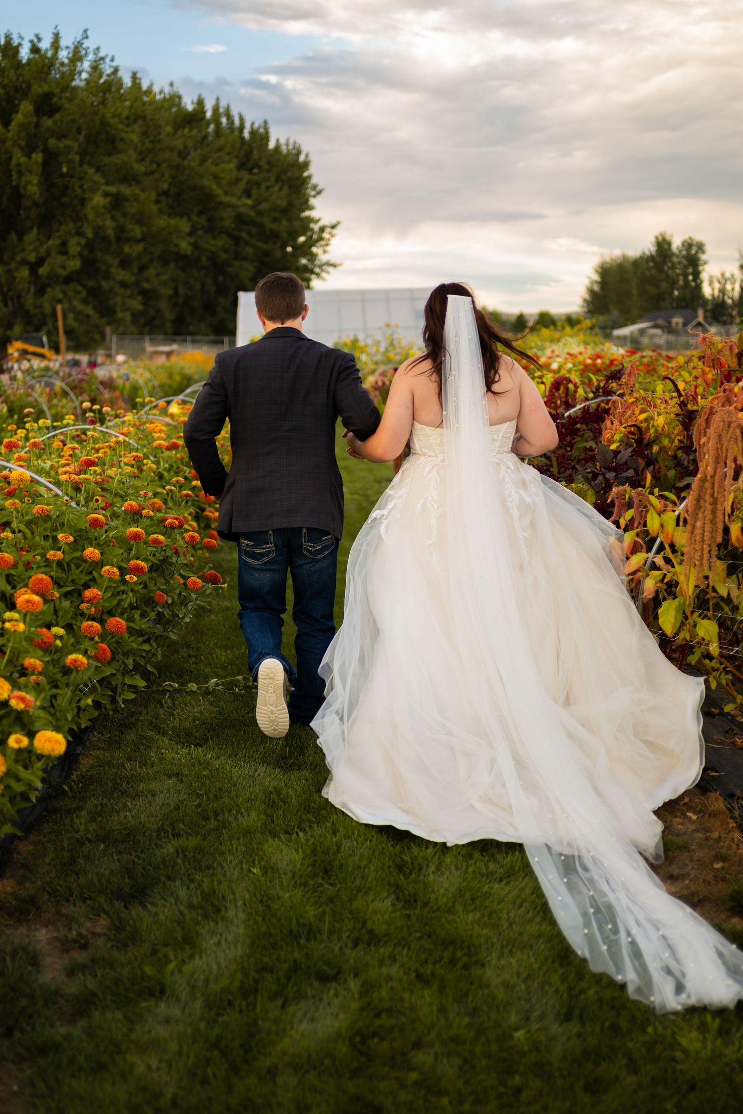 A couple walks through a vibrant marigold flower field at sunset with the bride's white dress trailing behind.