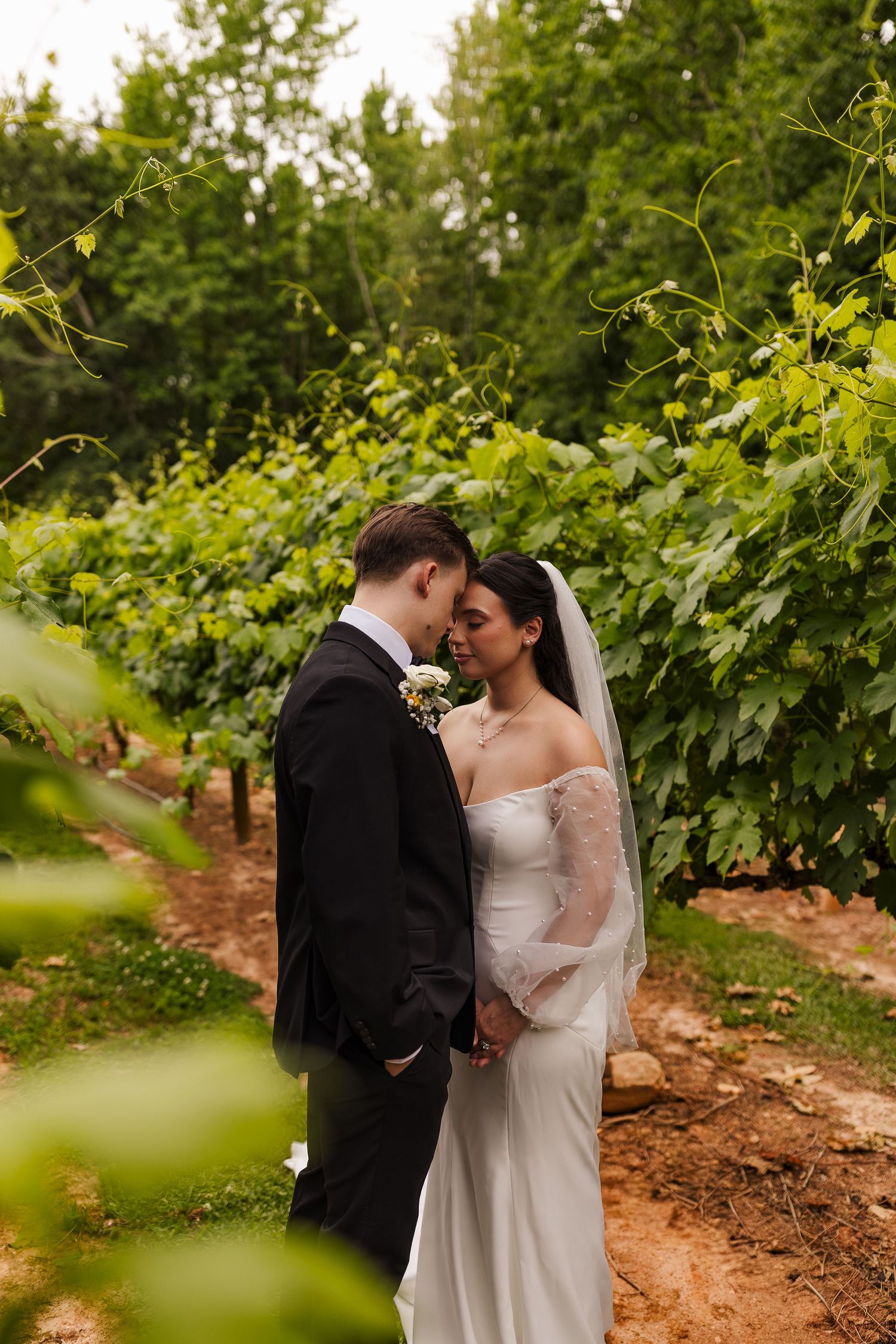 Bride and groom share a romantic moment in a lush vineyard, with the bride in a white gown and veil.