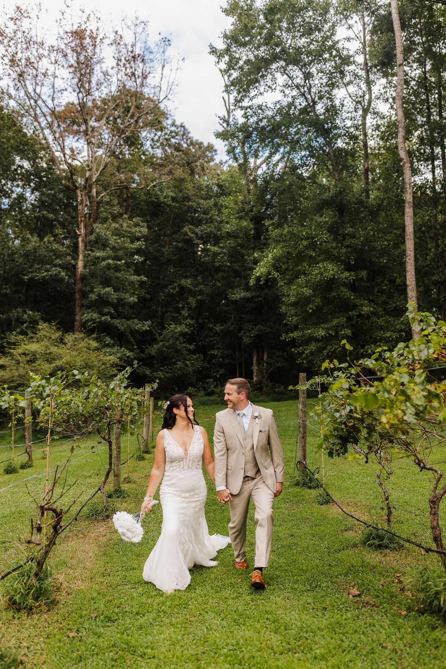 Bride and groom walk hand-in-hand through lush green vineyard surrounded by tall trees on their wedding day.