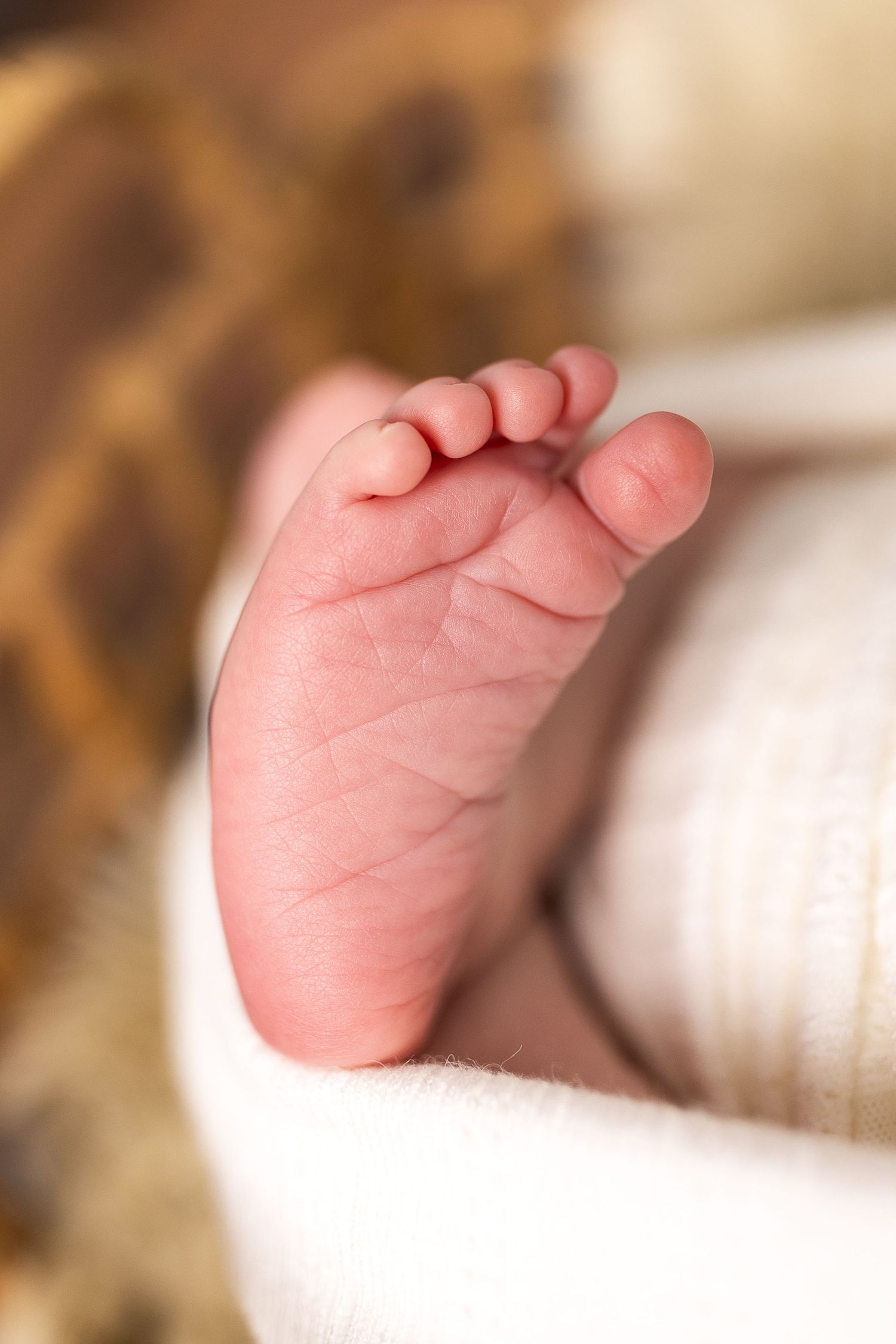 Close-up macro shot of tiny newborn baby feet with pink skin against a soft white blanket background.