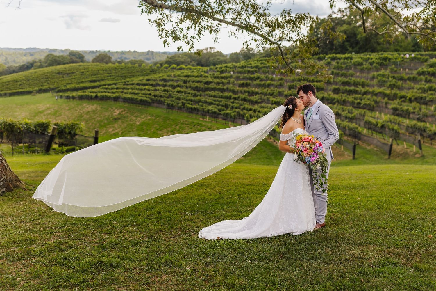 Bride and groom share a romantic kiss at a vineyard wedding, with the bride's long veil flowing in the wind.