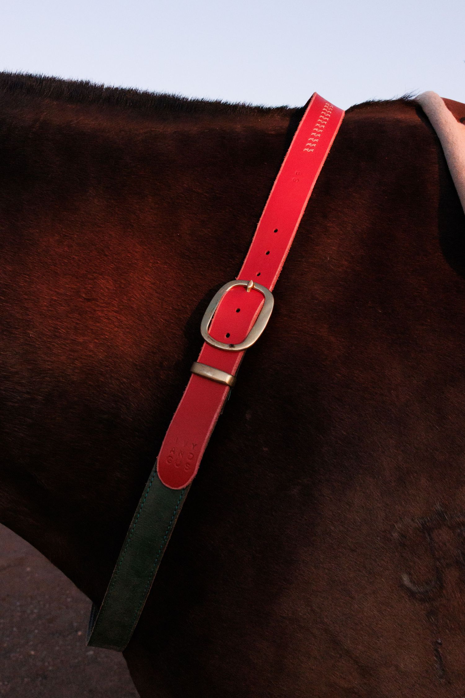 Red and green leather belt with silver buckle against dark brown horse coat background.
