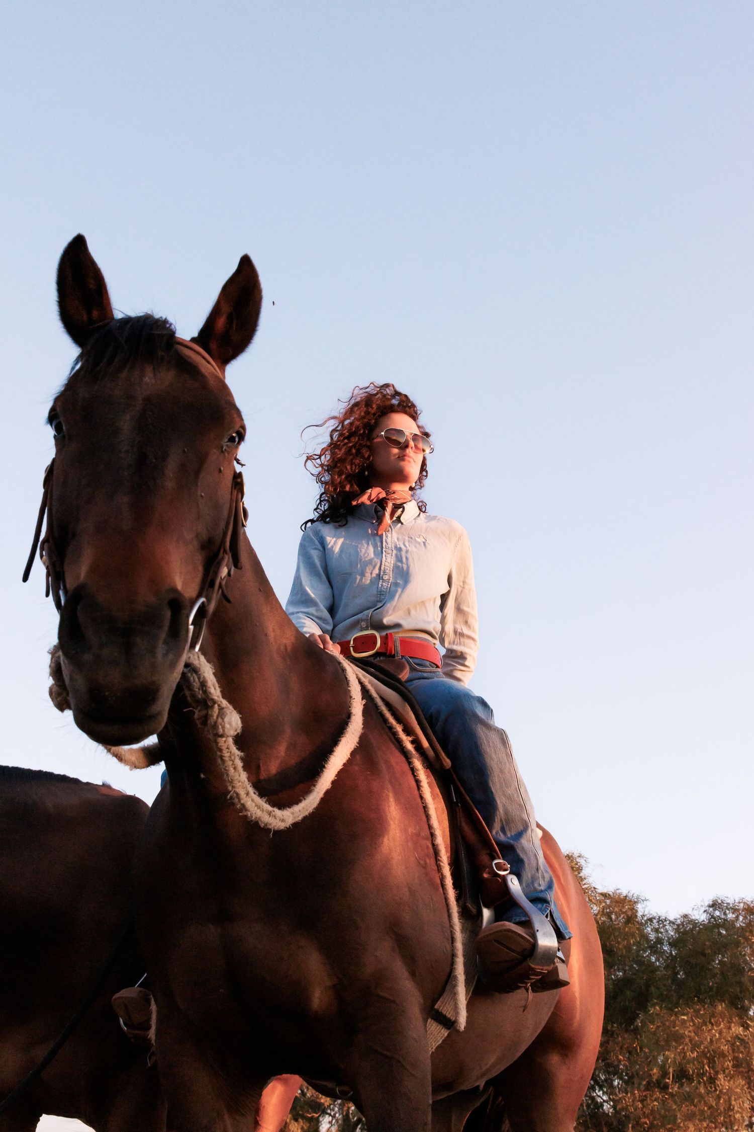 A rider with curly hair sits atop a large brown horse against a blue sky during golden hour.