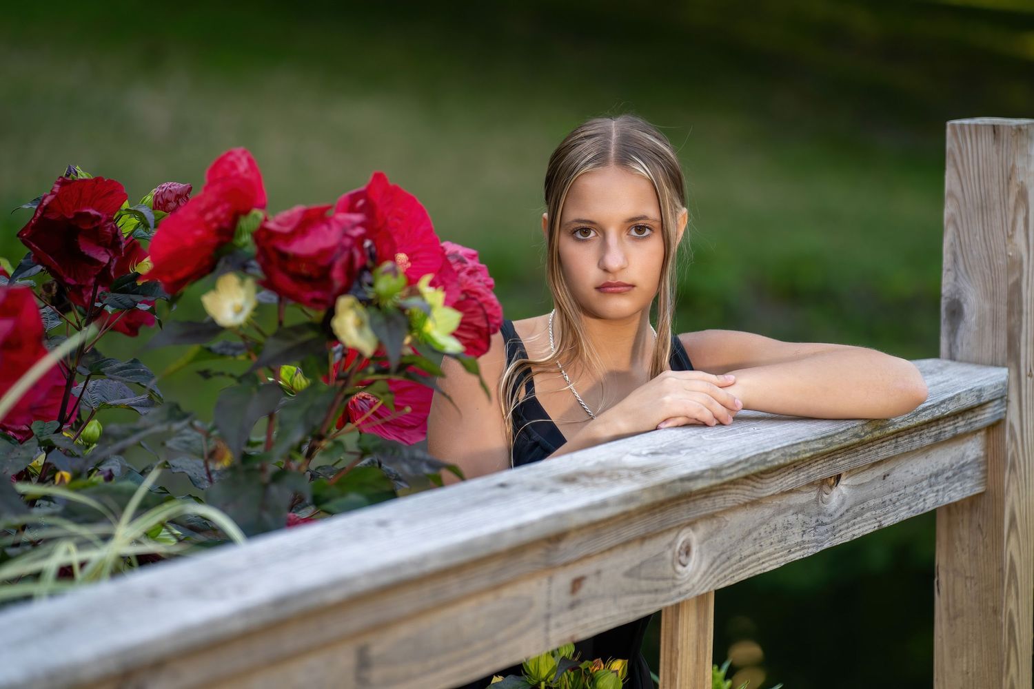 A young blonde woman leans pensively over a wooden fence adorned with vibrant red roses in an outdoor garden.