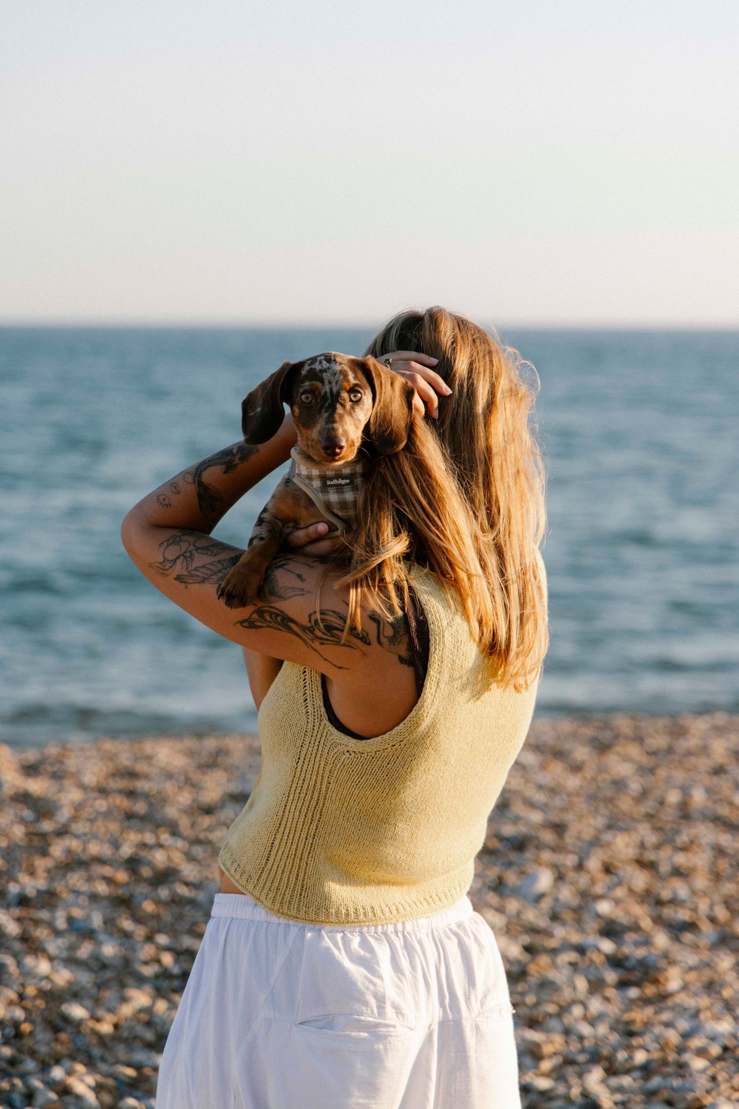 Girl with her dog as they look out to the sea, the sun is setting and they are at Hengistbury Head.