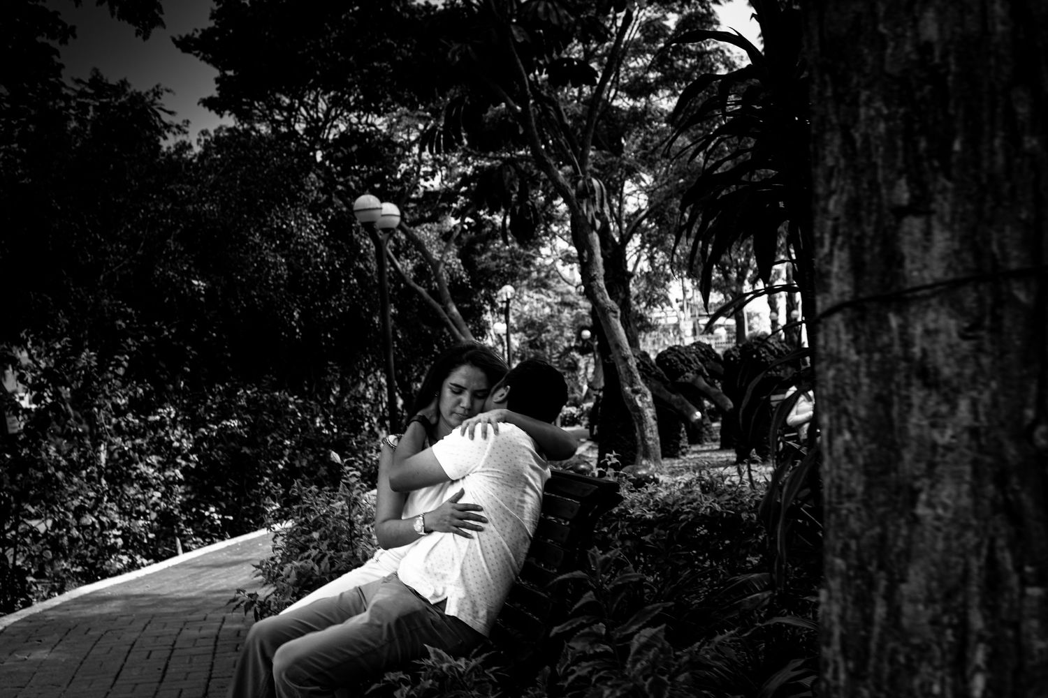 Black and white photo of a couple embracing on a park bench surrounded by lush tropical trees.