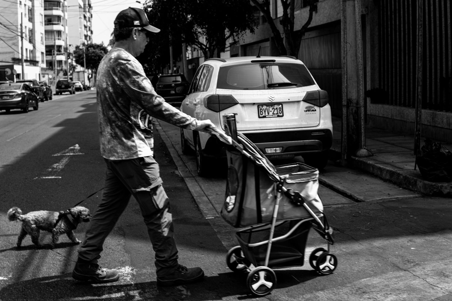 Man pushing stroller walks dog on urban street in black and white photography.