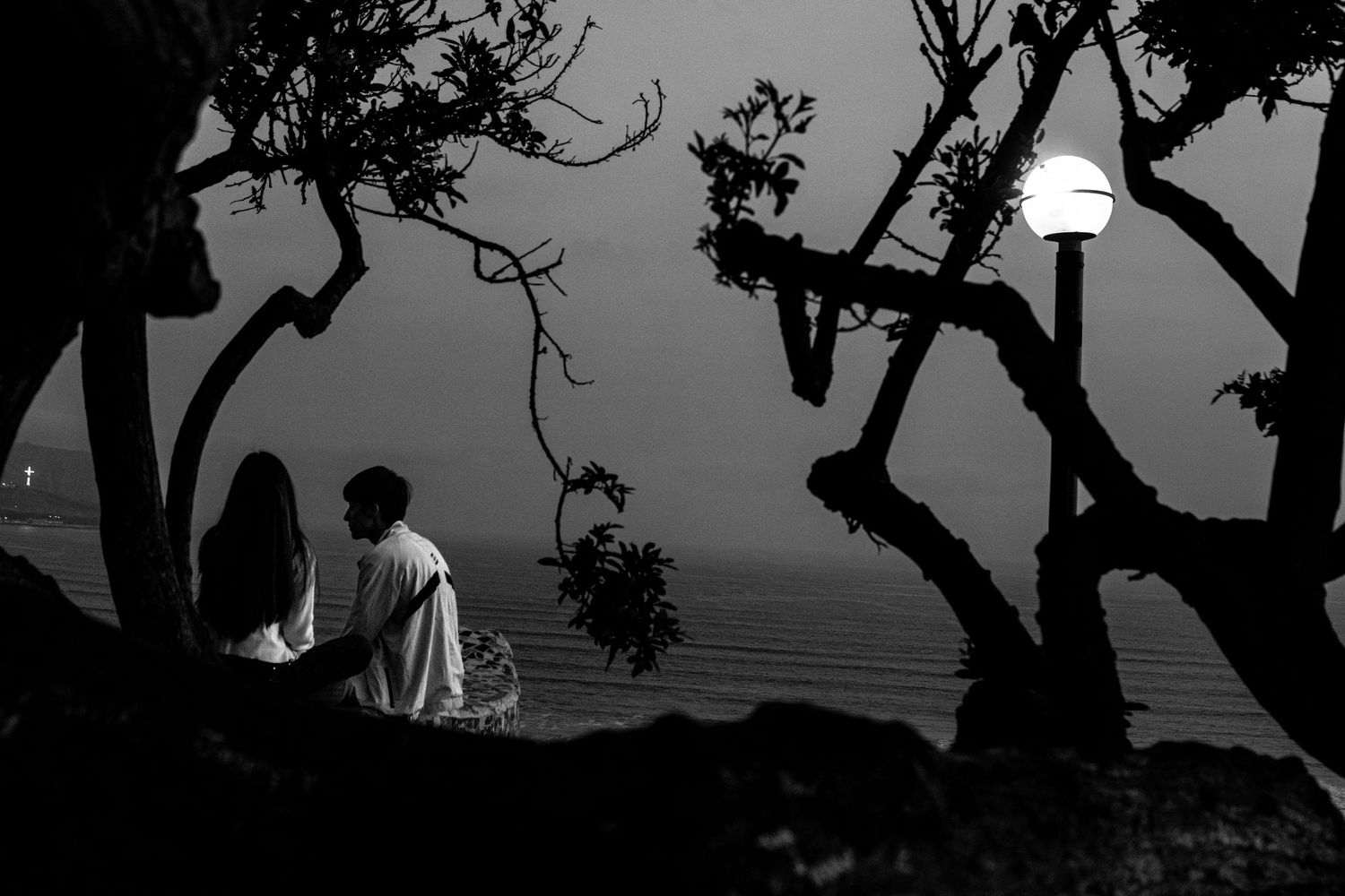 Black and white photo of a couple sitting together under twisted trees overlooking a misty ocean.