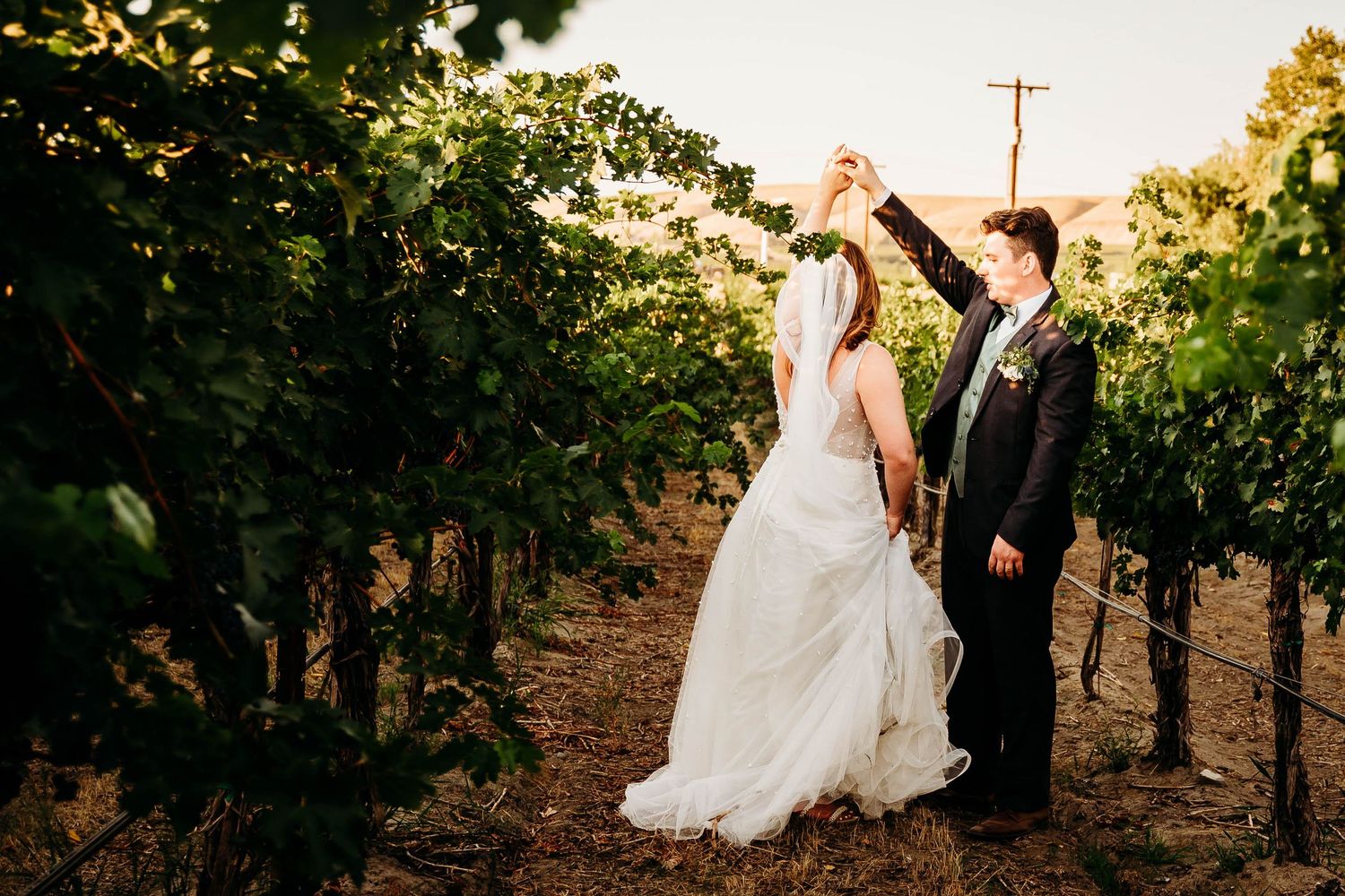 Groom twirls bride in a flowing white gown between vineyard rows at sunset.