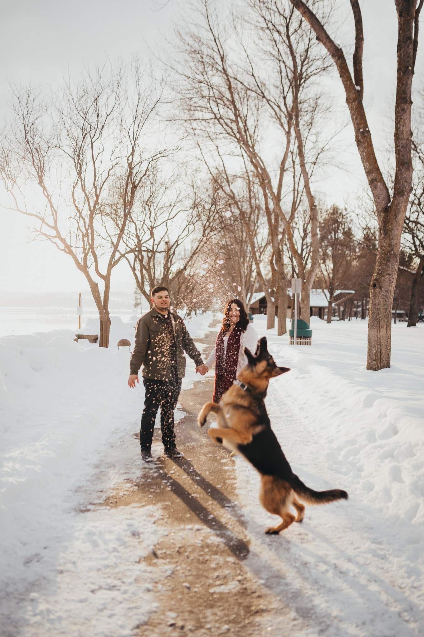 Couple holding hands while German Shepherd jumps playfully on snowy winter path.