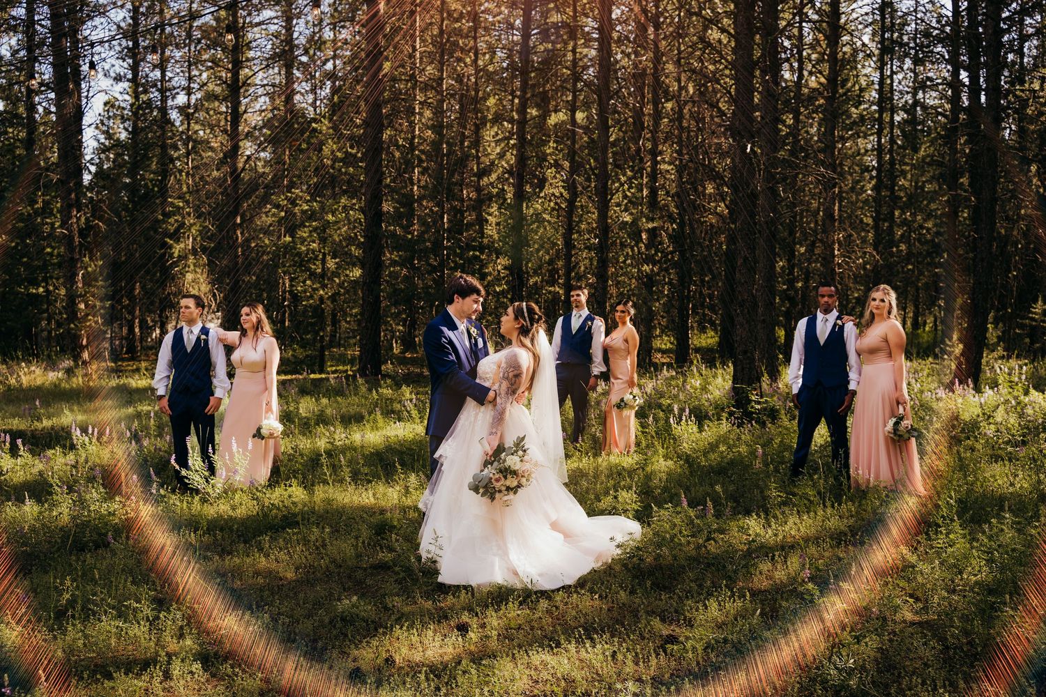 Wedding party posed in sunlit forest clearing with bride and groom centered among groomsmen and bridesmaids in blush pink dresses.