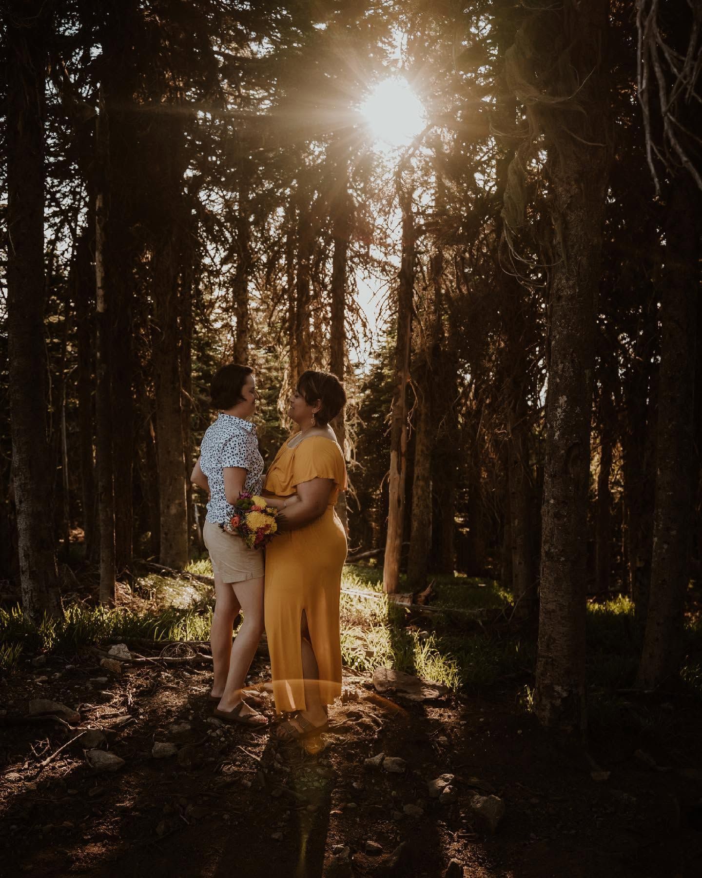Couple embraces in a sunlit forest, golden light streaming through tall trees during an outdoor photoshoot.