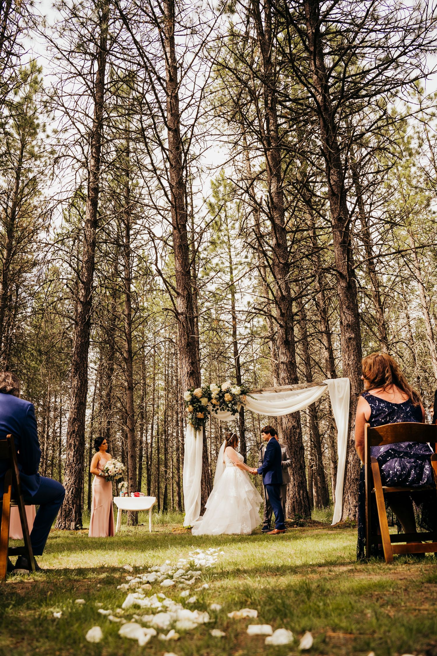 Outdoor forest wedding ceremony with bride and groom at floral arch amid tall pine trees.