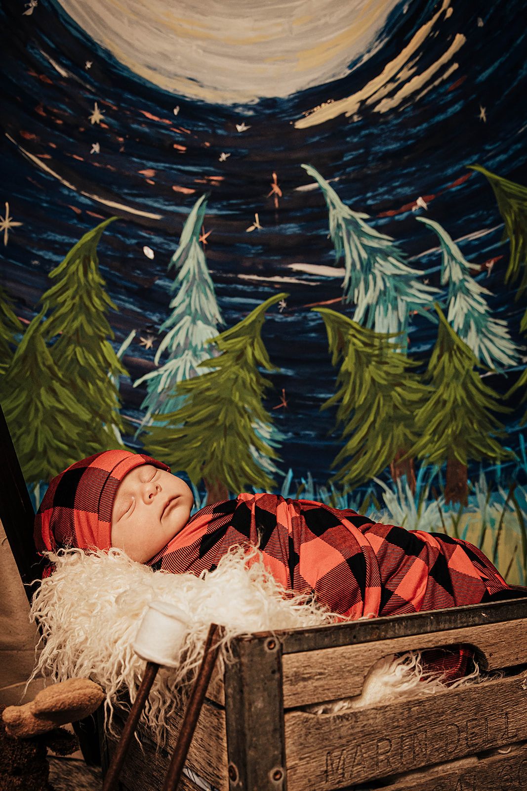 Newborn baby swaddled in red plaid blanket sleeping in wooden crate with forest backdrop.