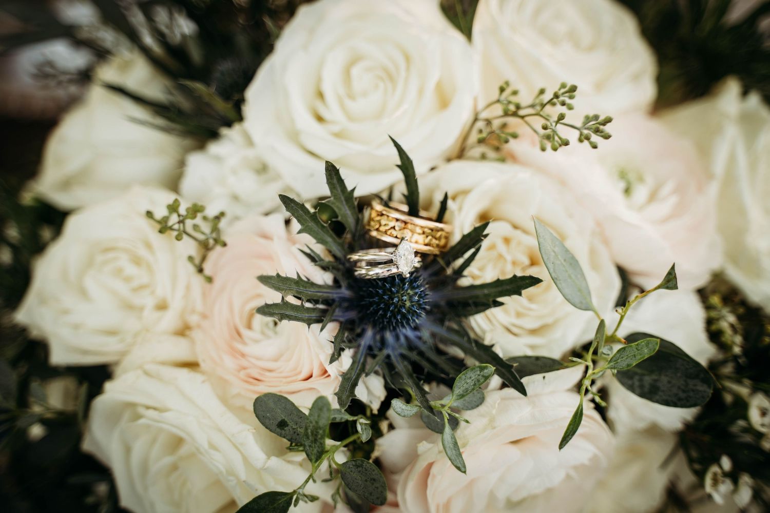 Gold wedding bands rest on a blue thistle flower surrounded by white roses in a bridal bouquet.