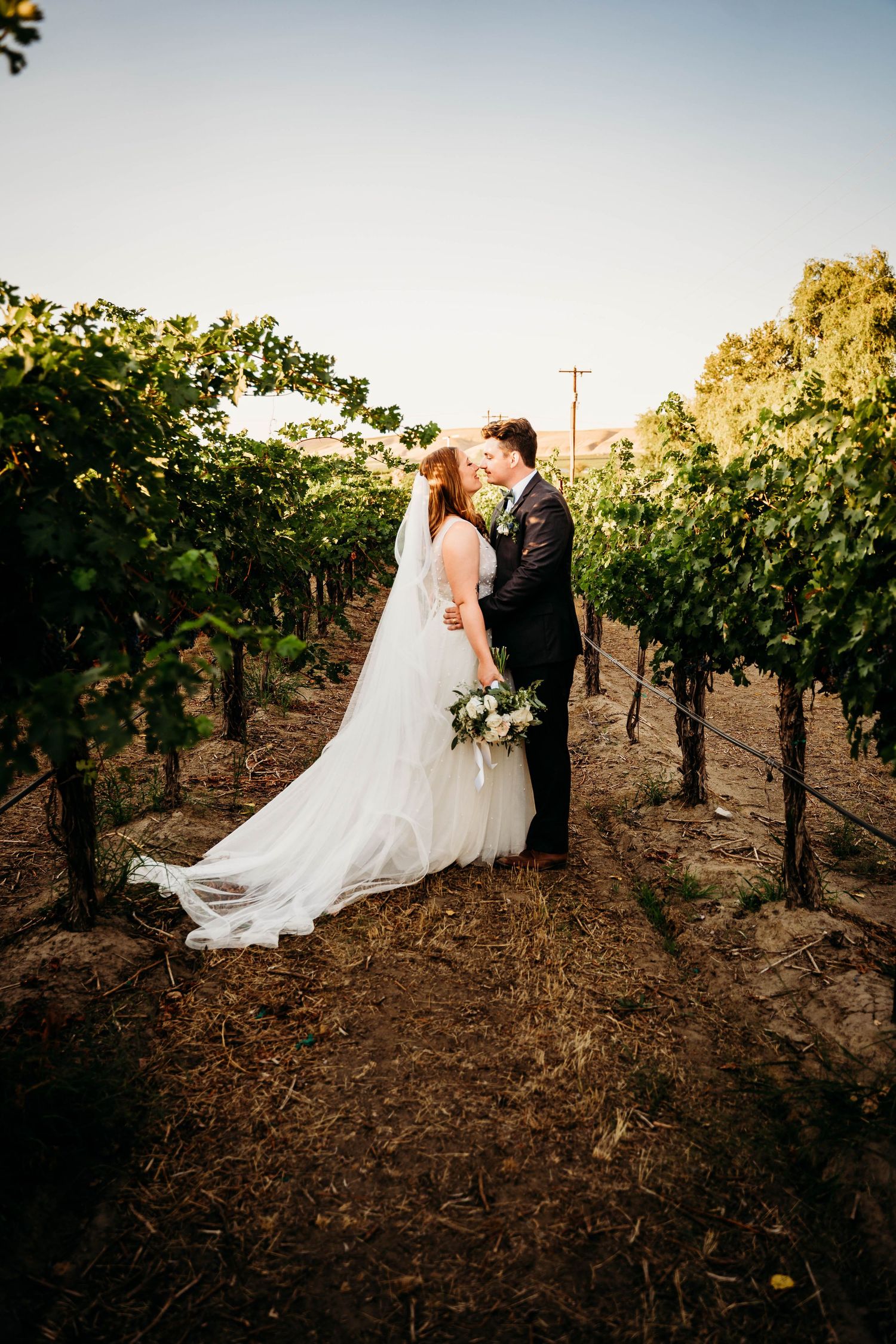 Newlyweds share a kiss in a sun-drenched vineyard, bride's long veil trailing behind.
