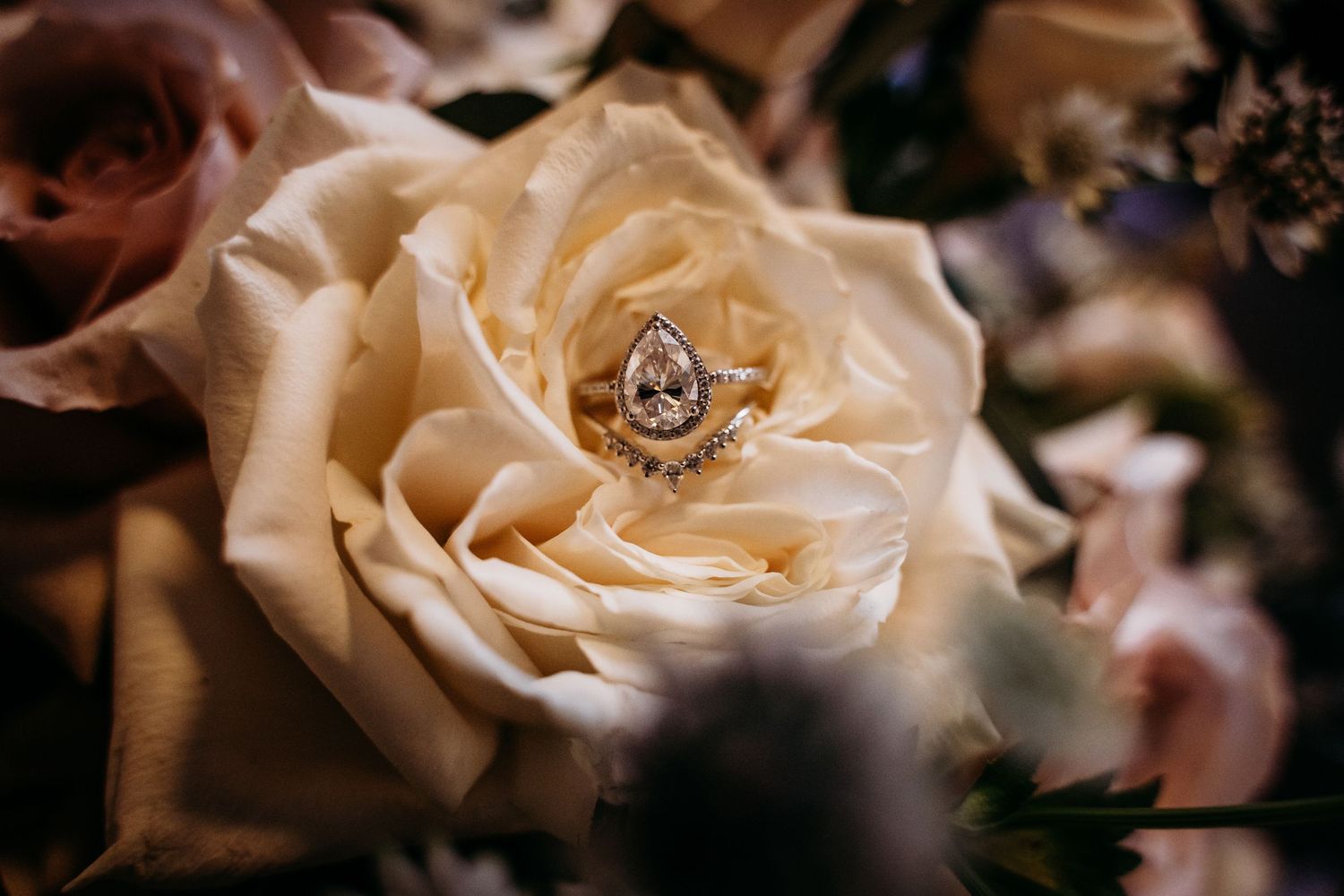 Pear shaped halo diamond engagement ring elegantly placed inside a cream rose in a bridal bouquet.