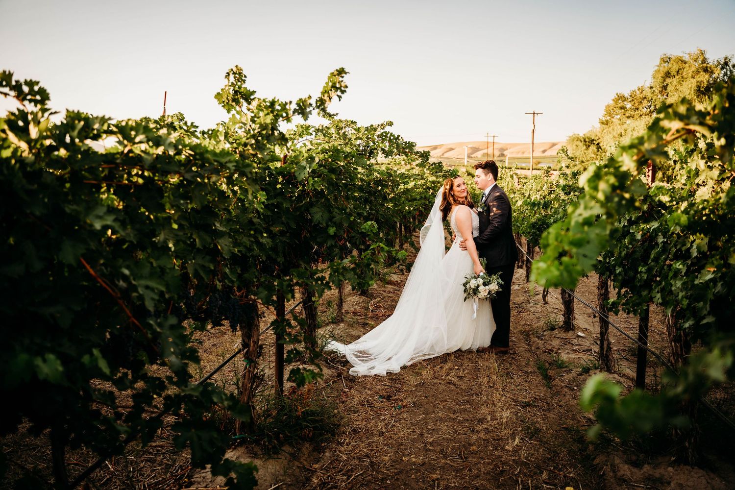 Bride and groom share a romantic moment among lush vineyard rows at golden hour.
