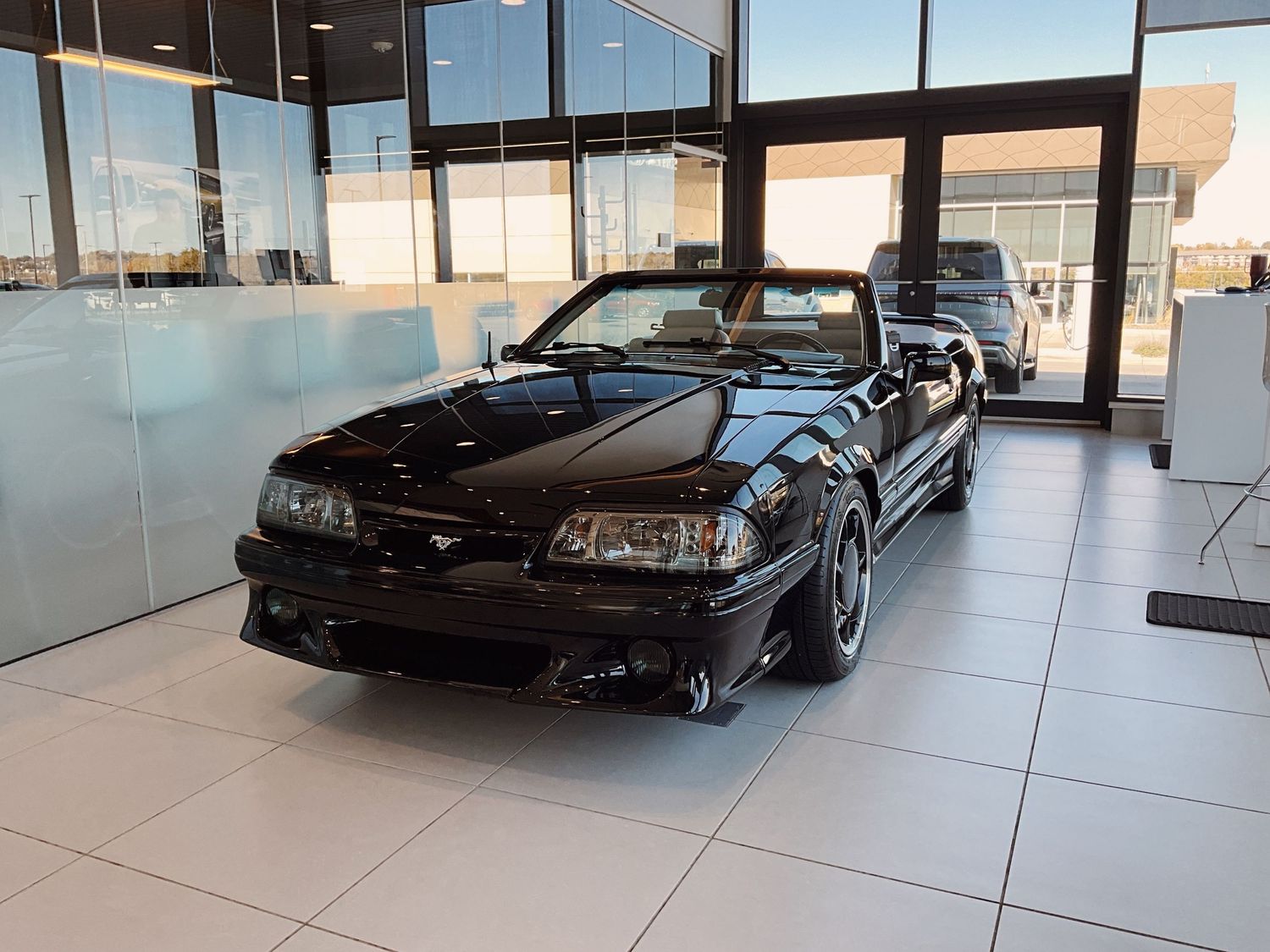 Black Ford Mustang GT convertible displayed in a modern car dealership showroom with large windows.