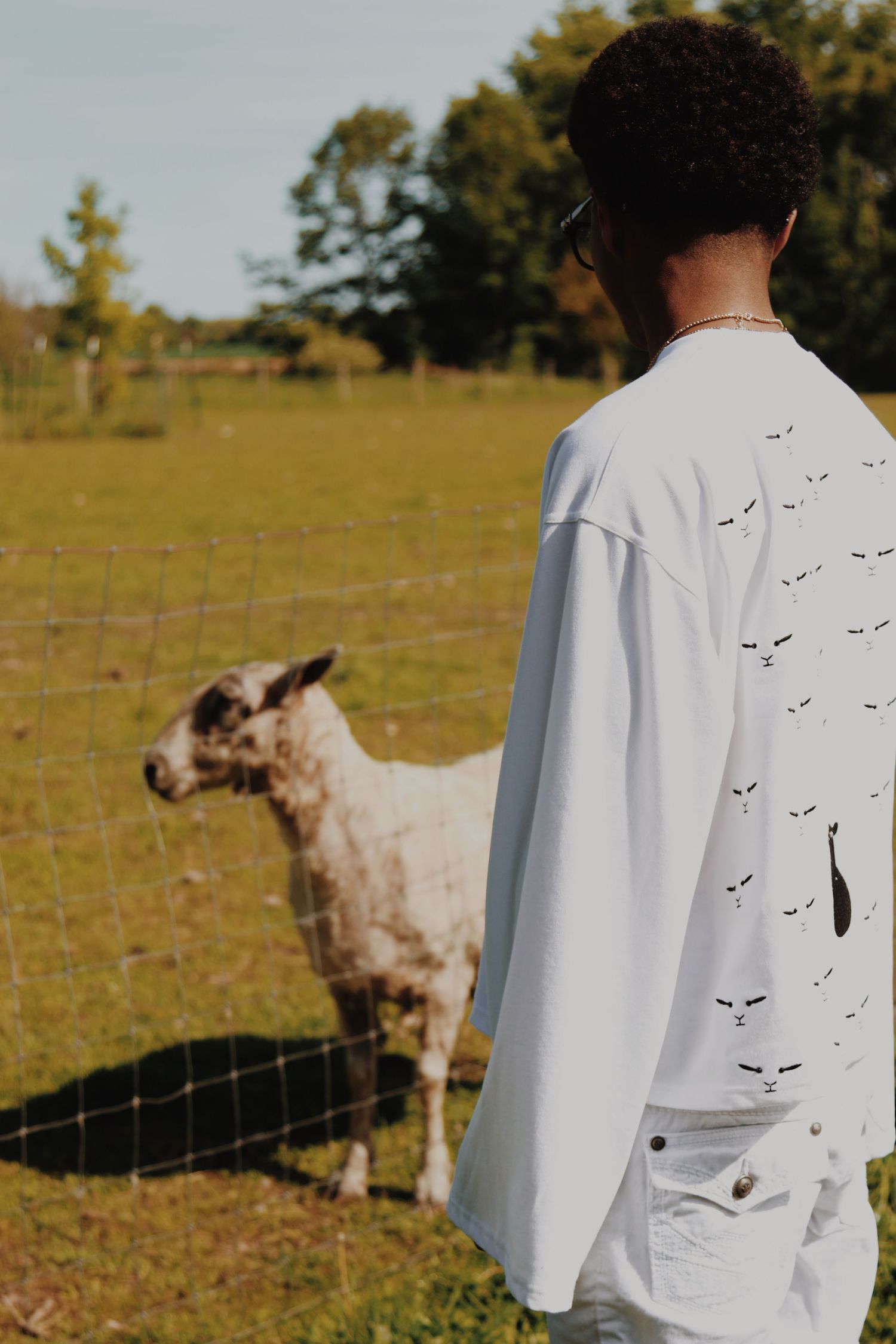 Man in white graphic shirt stands by fence observing a goat on a sunny green farm.