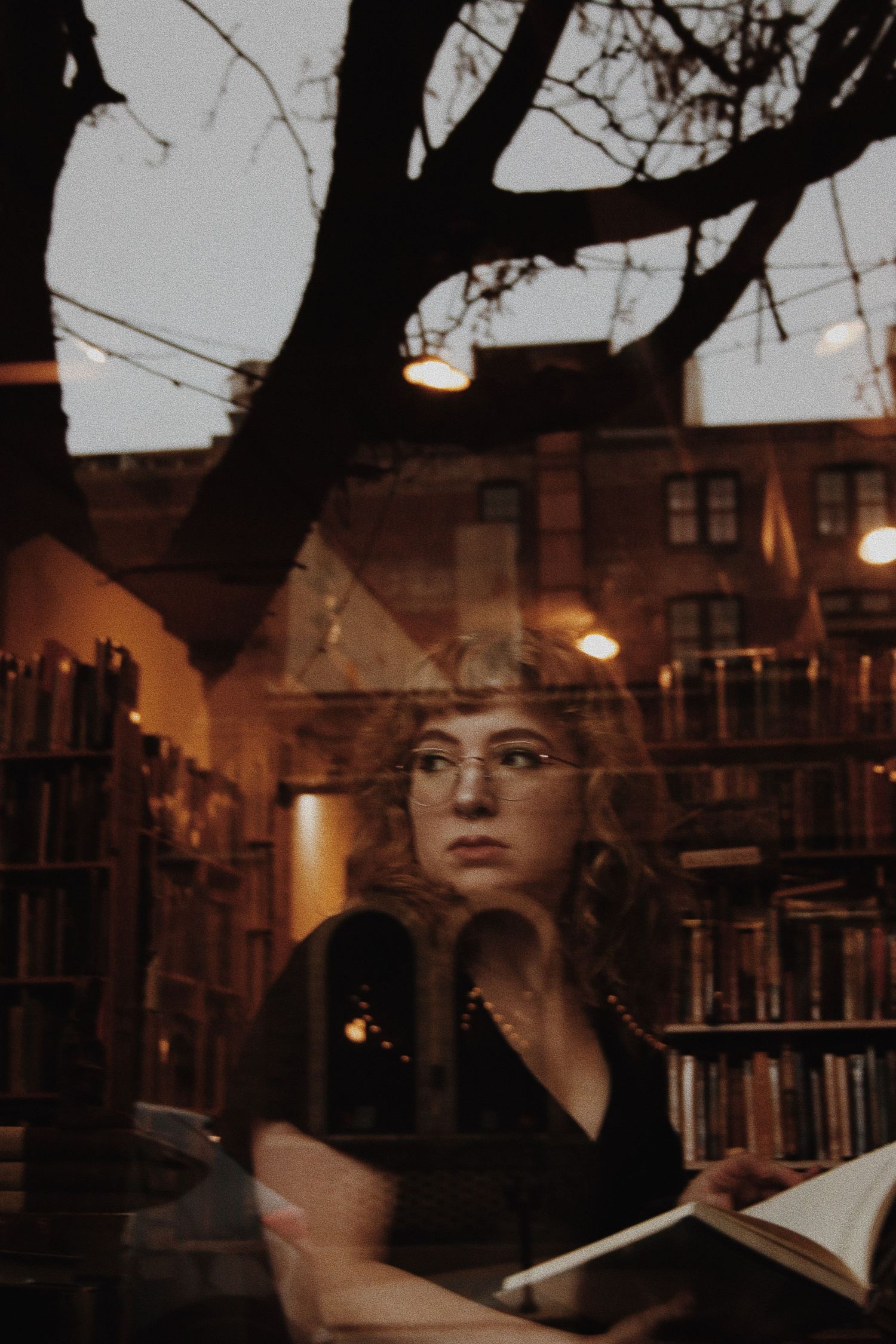 Woman reading a book in a cozy bookstore at dusk, reflected in a window with a bare tree outside.