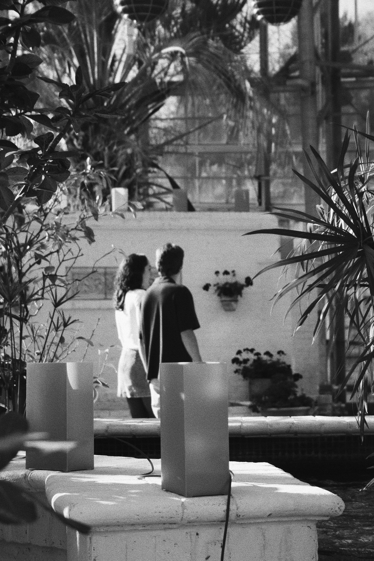 Black and white photo of two people standing in a lush greenhouse with tropical plants and stone pedestals.