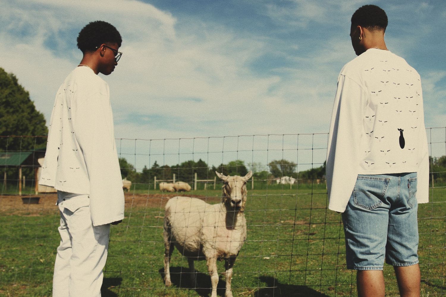 Two young men in white oversized shirts stand on a farm with a sheep between them under a cloudy sky.