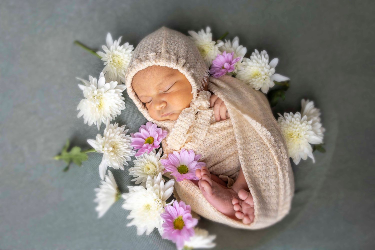 Newborn baby in a knit bonnet sleeps swaddled in a beige wrap, surrounded by white and purple daisies on a gray background.