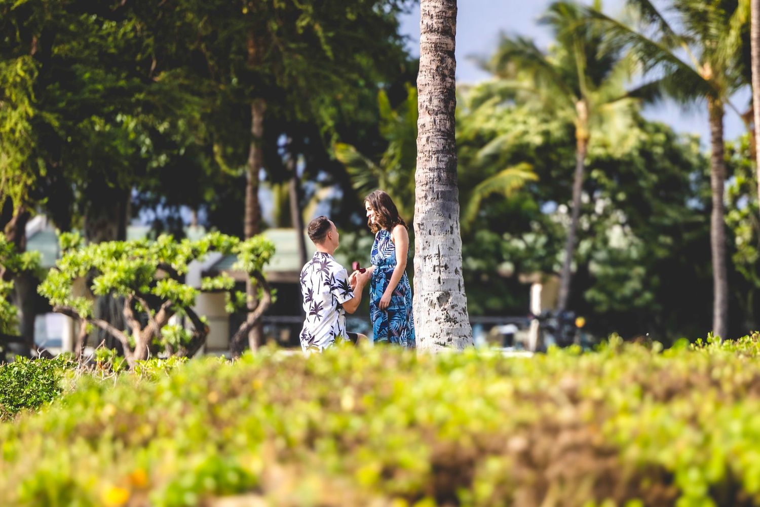 Couple stands together beside a tall palm tree in a lush tropical garden, surrounded by green shrubs and swaying palms on a sunny day.