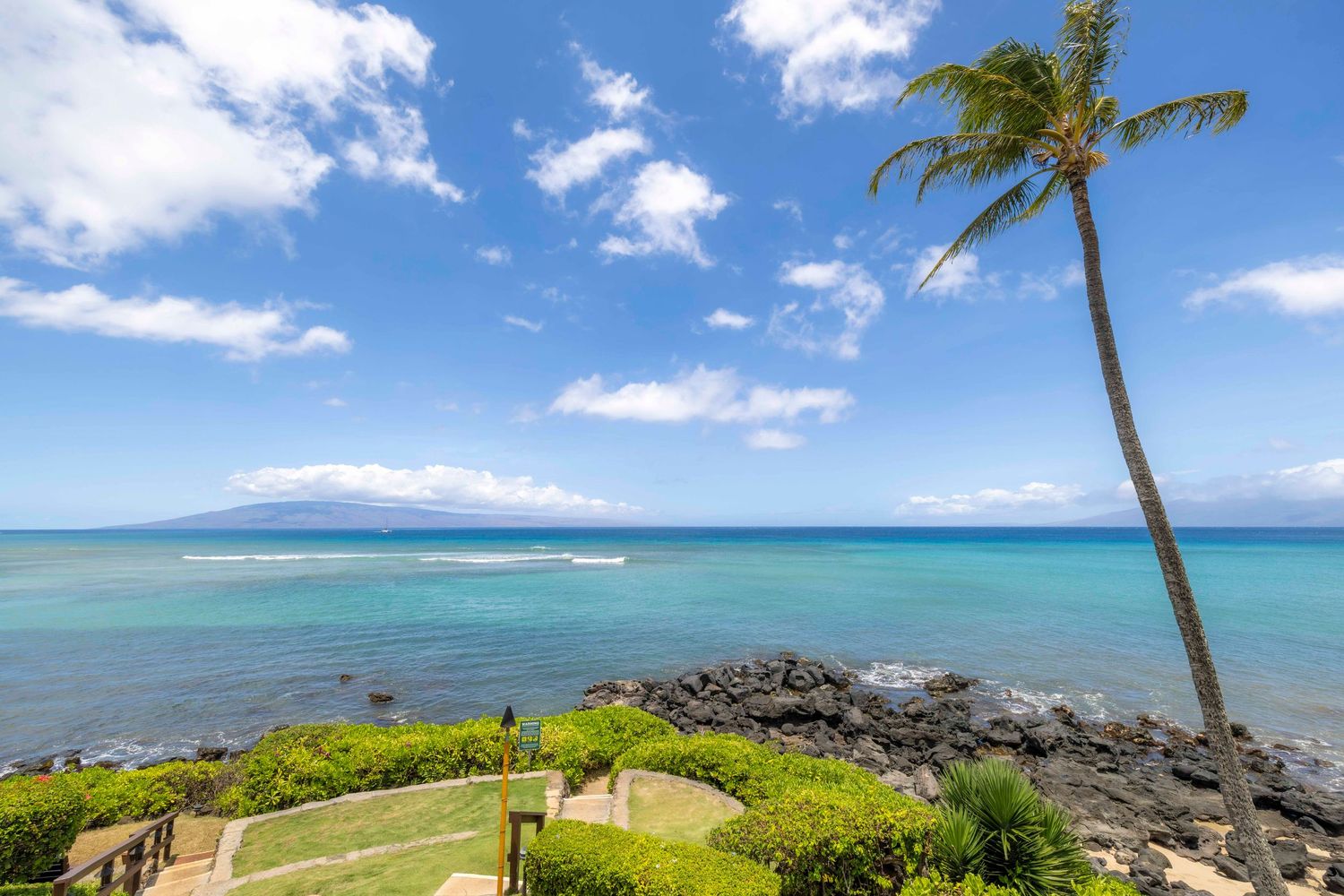 Tropical oceanfront view with a leaning palm tree, rocky lava shoreline, lush green shrubs, and turquoise water beneath a bright blue sky.