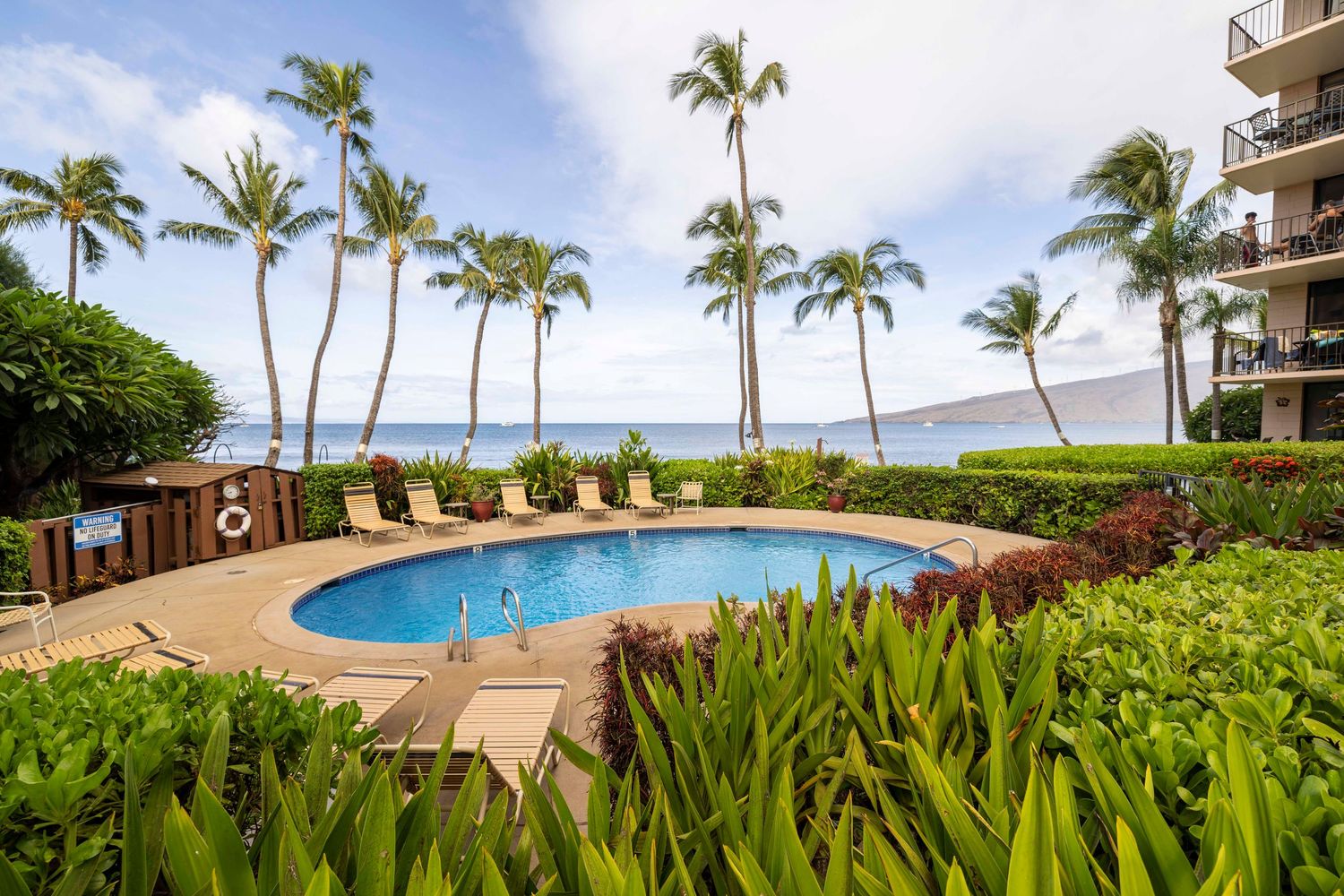 Tropical resort pool surrounded by palm trees, lounge chairs and lush landscaping with a calm ocean and distant mountains in the background.