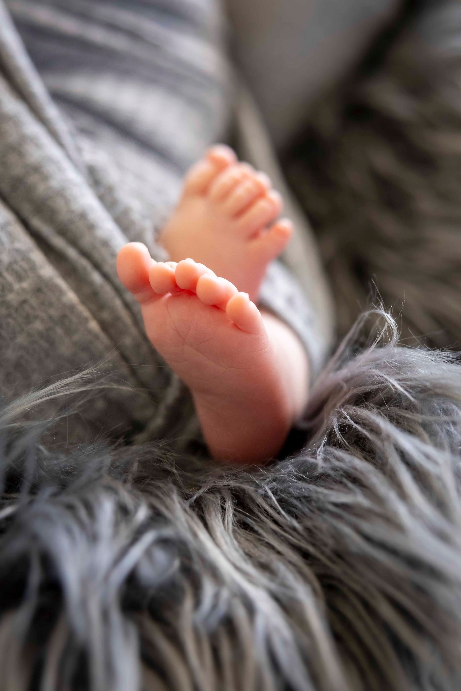 Close-up of tiny newborn baby feet and toes resting against a soft gray faux fur blanket.