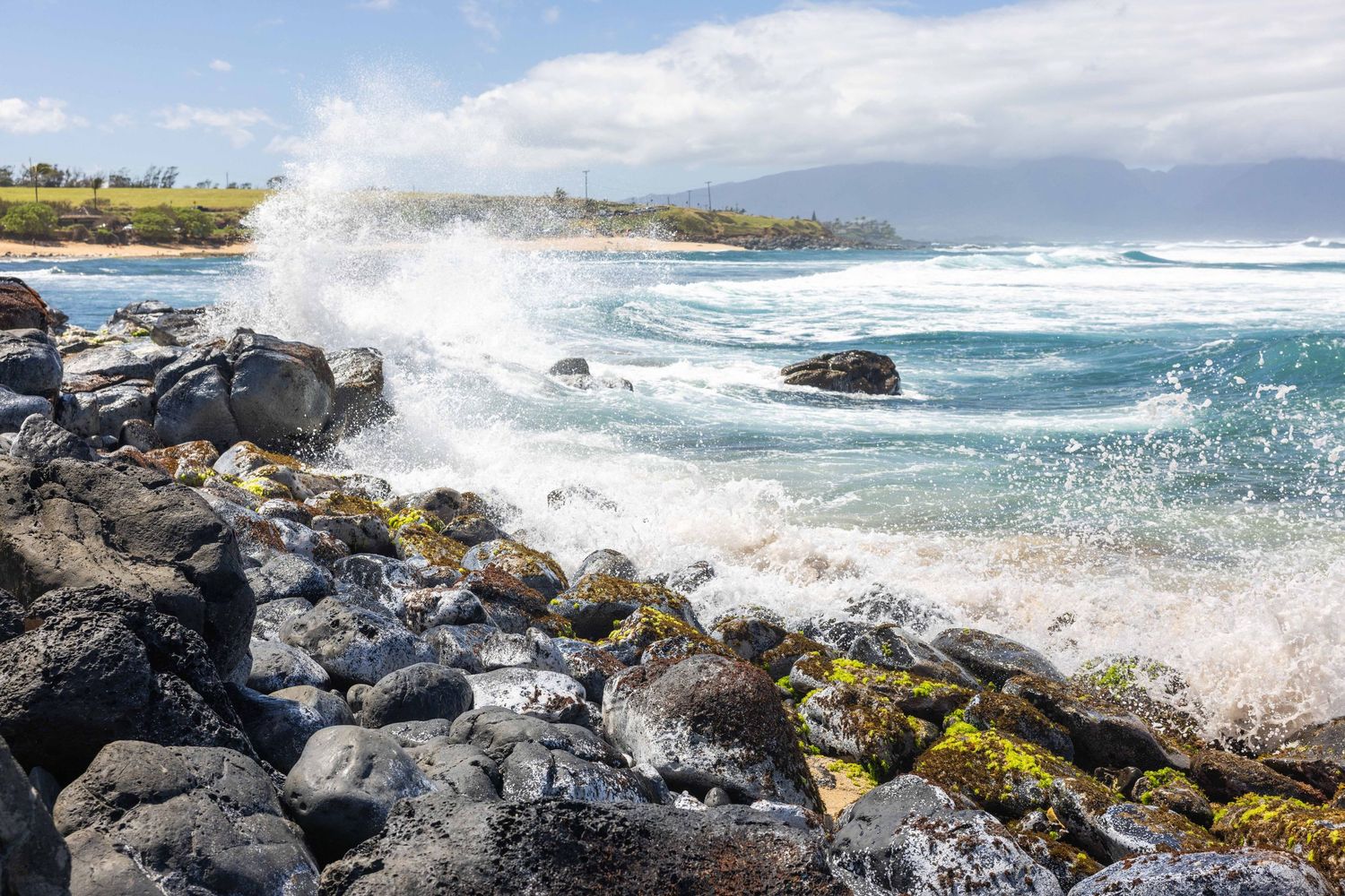 Ocean waves crash against dark volcanic rocks covered in green algae along a rugged coastline with distant headlands and a blue sky. Paia