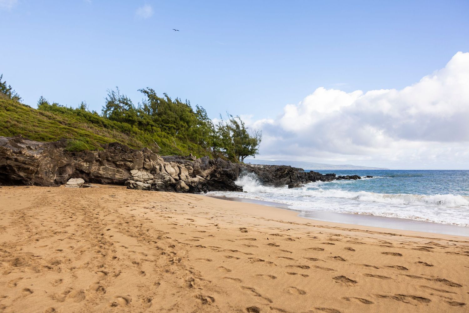 Sandy beach with footprints leads to rocky lava coastline, green coastal trees, and turquoise waves rolling ashore under a blue sky.  DT Fle