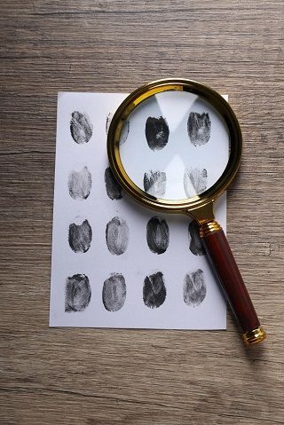 Detective & Forensic Services