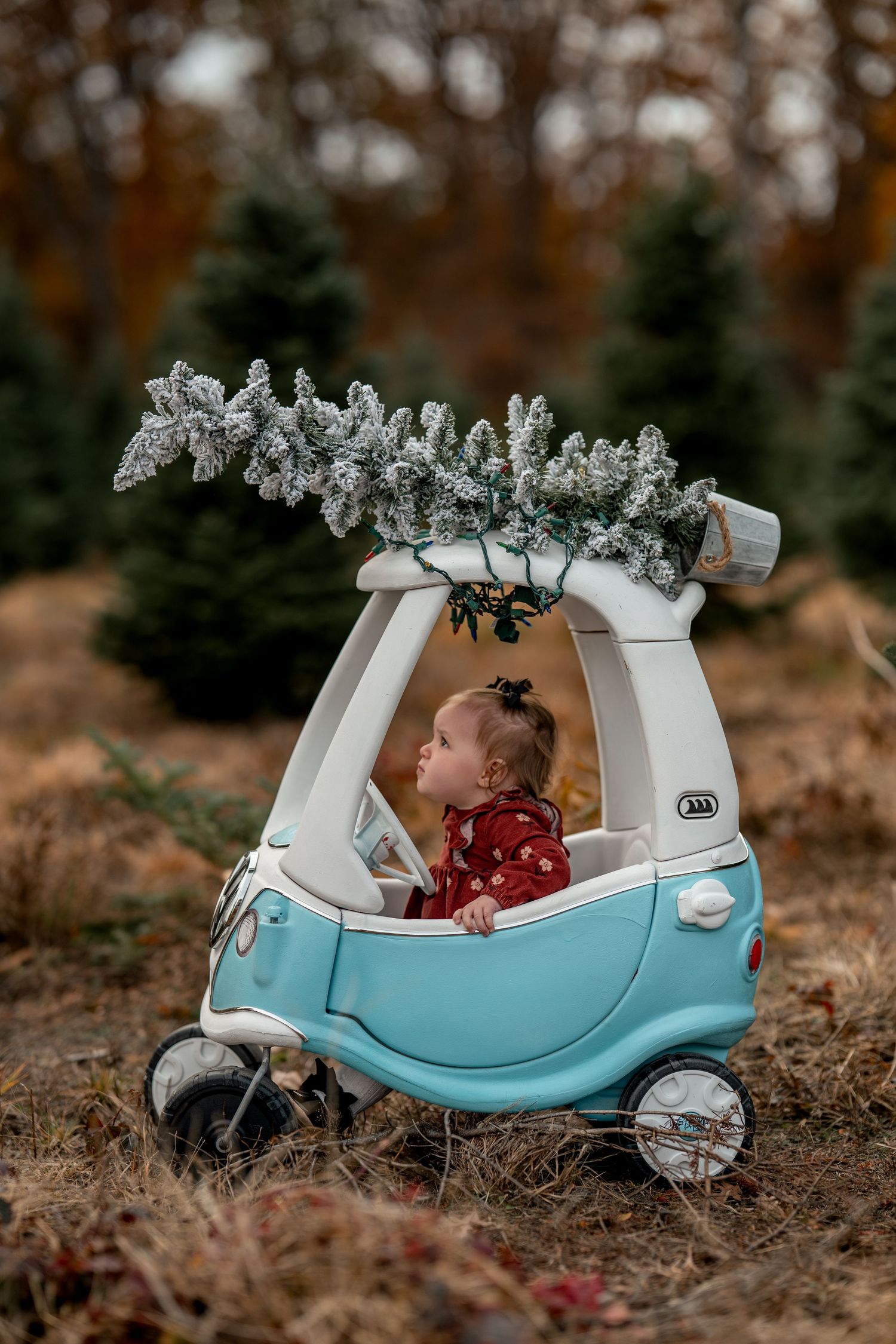 Toddler in red outfit sitting in blue toy car with snow-flocked Christmas tree on top at tree farm.