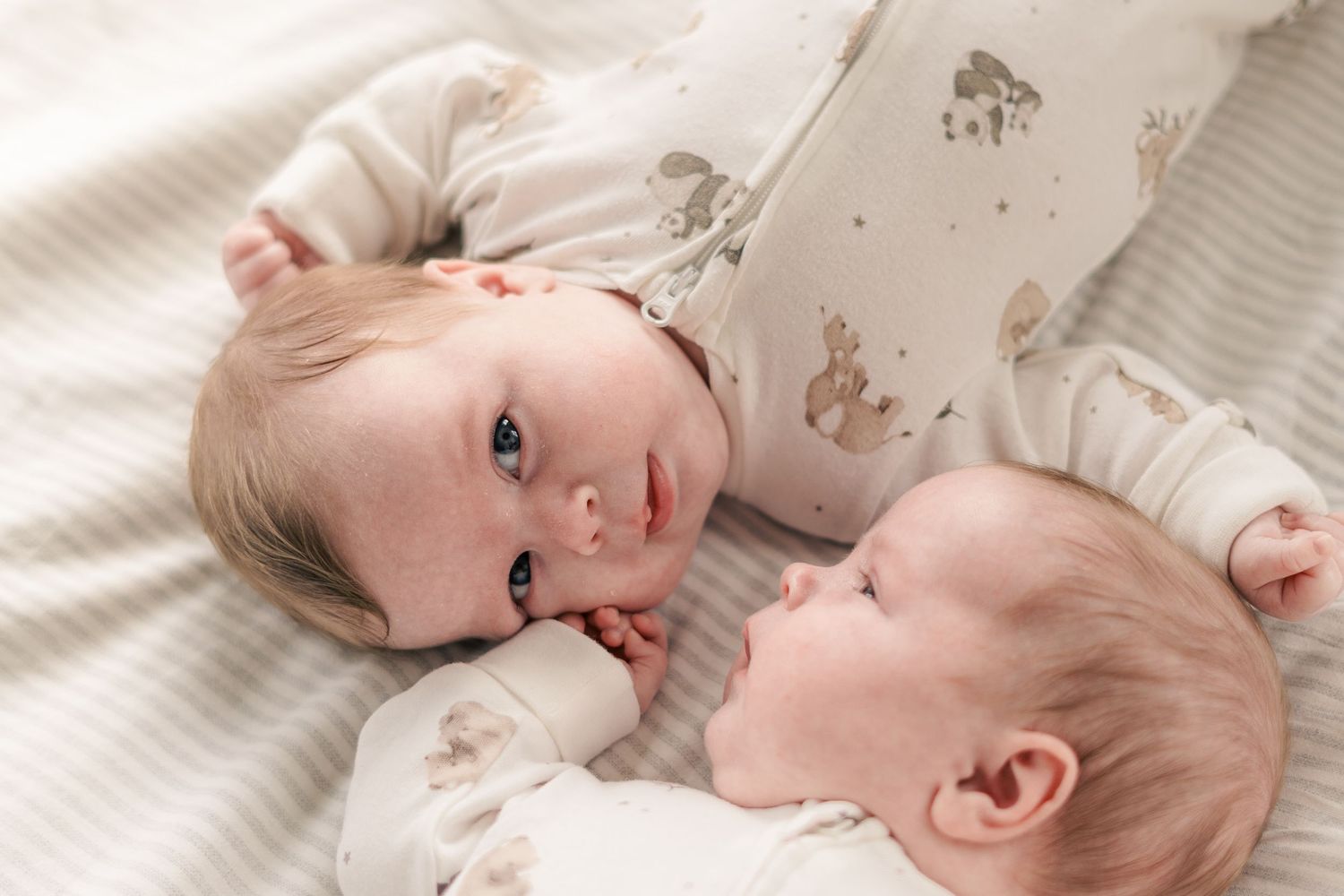 Tvillingar tillsammans under en familjefotografering
