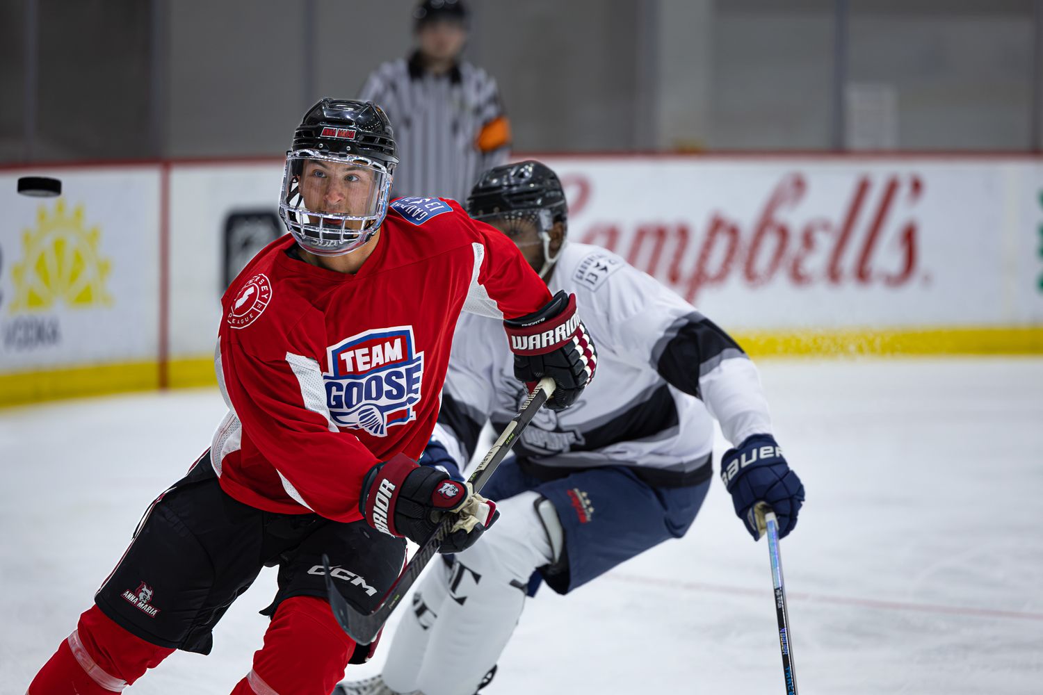 Two youth hockey players compete on ice, one in red Team Goose jersey, during a game with Campbell's advertisement visible.