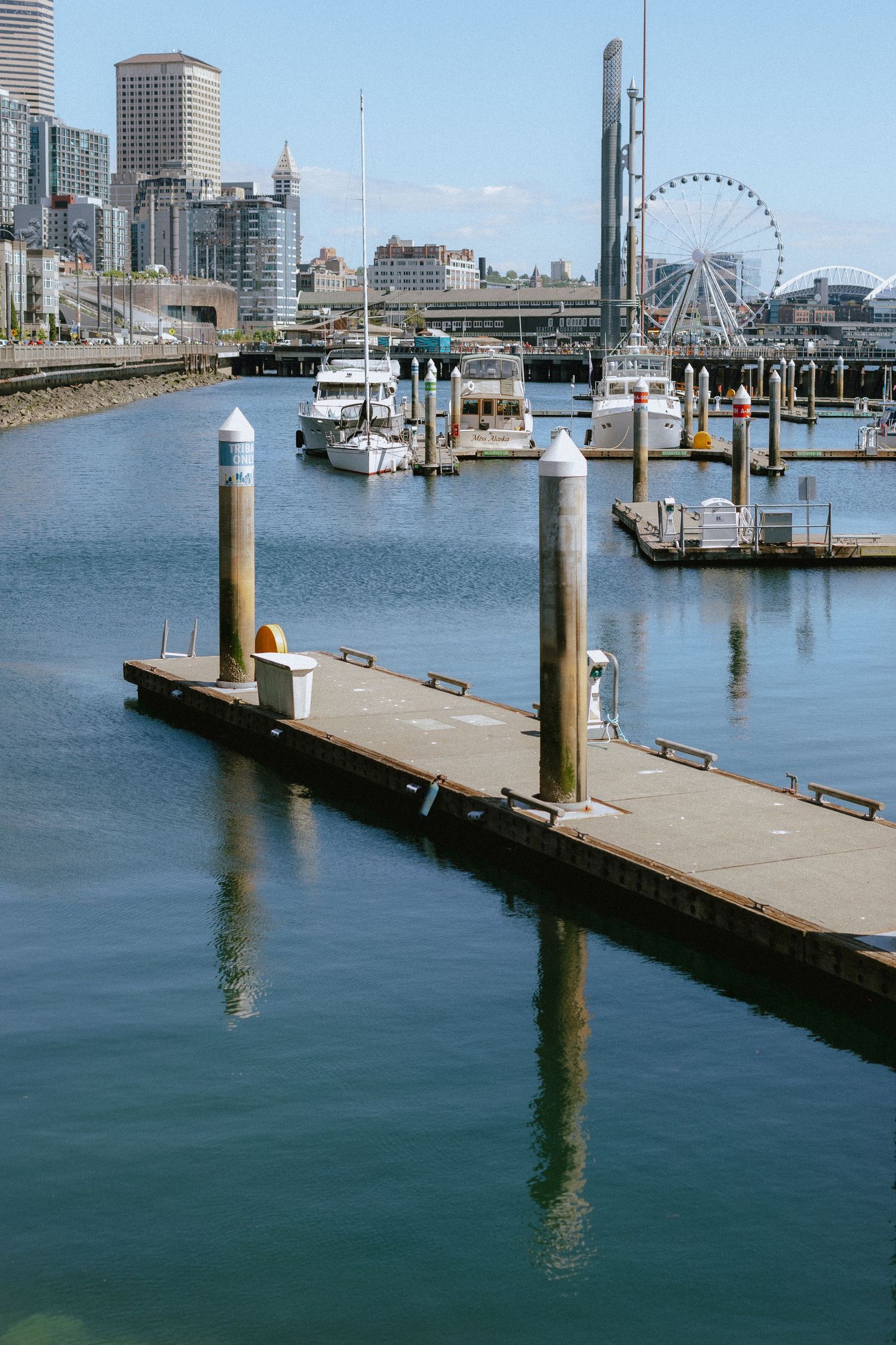 Seattle waterfront photos // Seattle lifestyle photography // Bell Harbor Marina