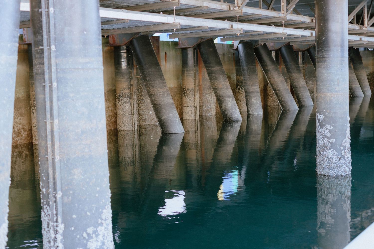 Seattle waterfront photos // Seattle lifestyle photography // Bell Harbor Marina