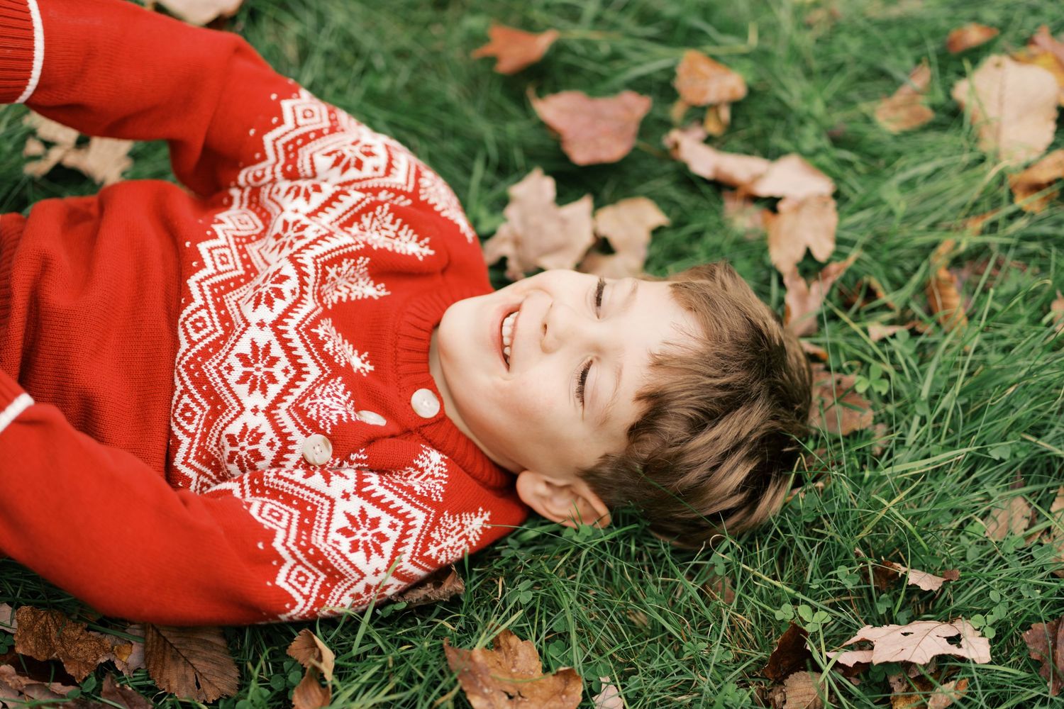Playful shot of a boy in a Christmas sweater laying in the grass at Francis William Bird Park in Walpole, MA.