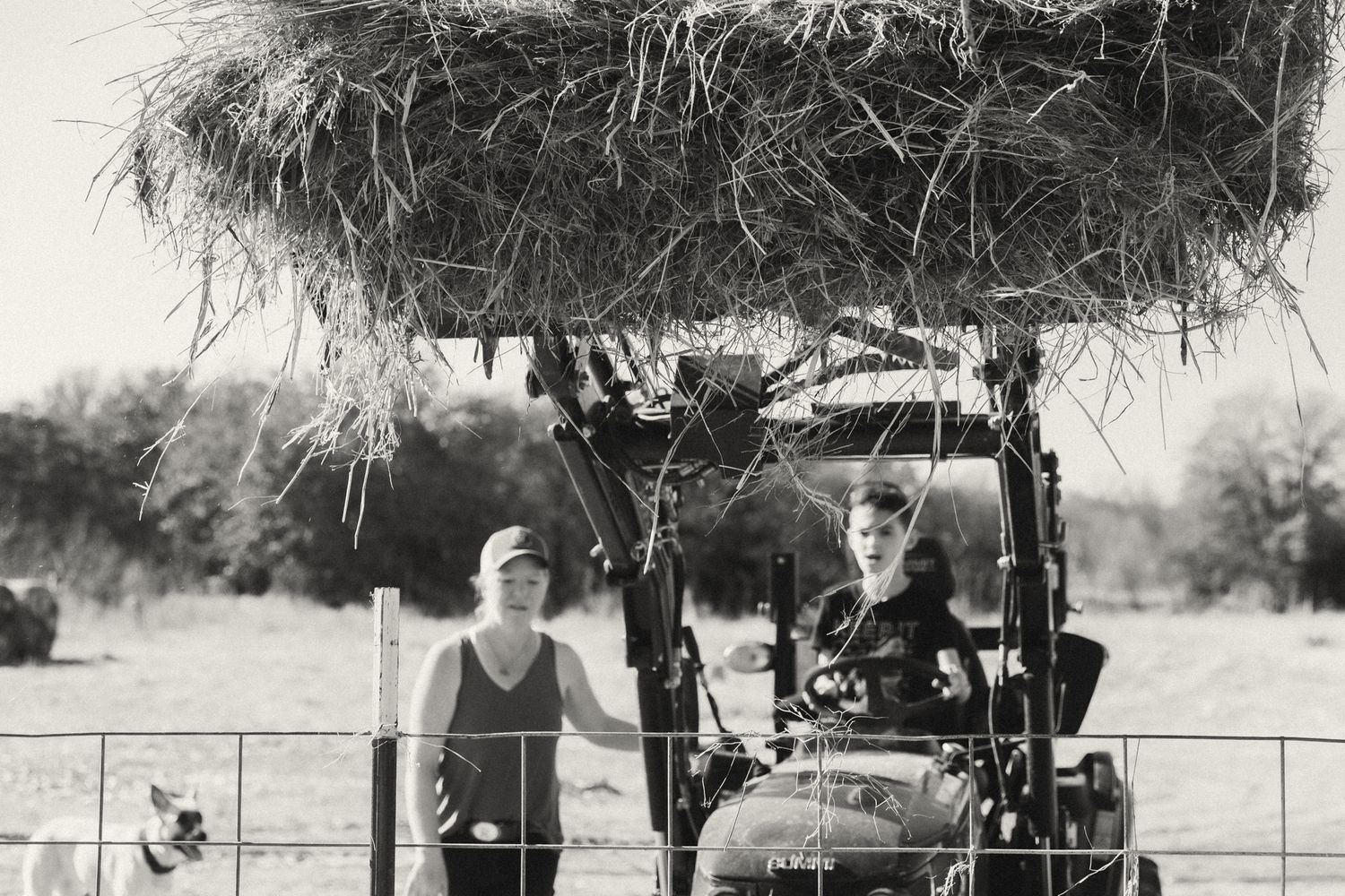 Agricultural equipment operating in a field under tree branches.