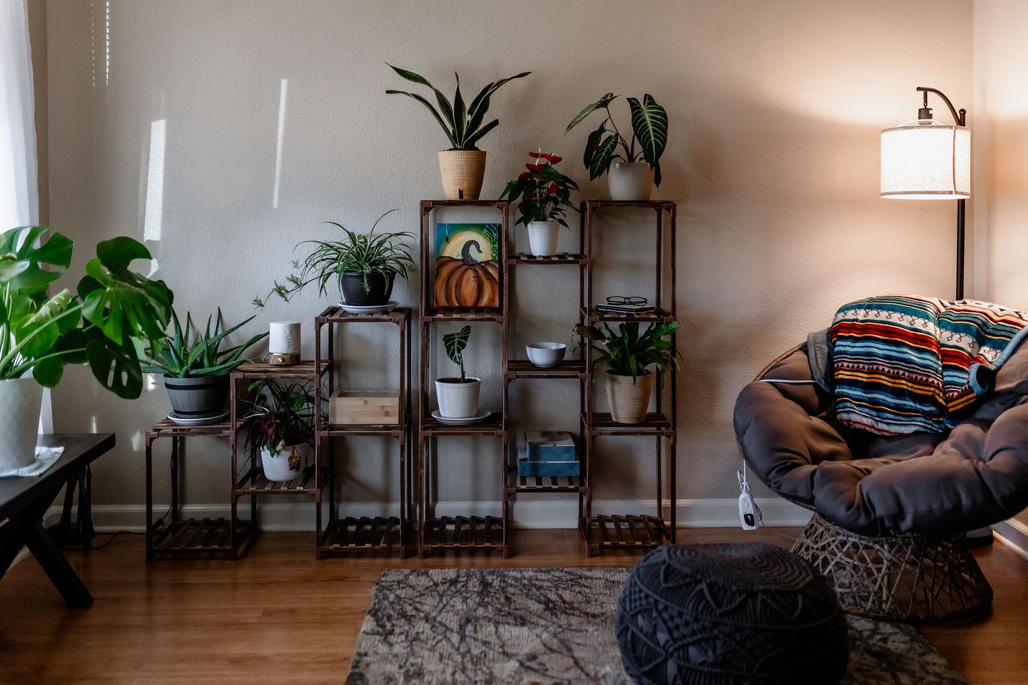 Modern living room corner with multi-tiered plant shelf and cozy papasan chair.