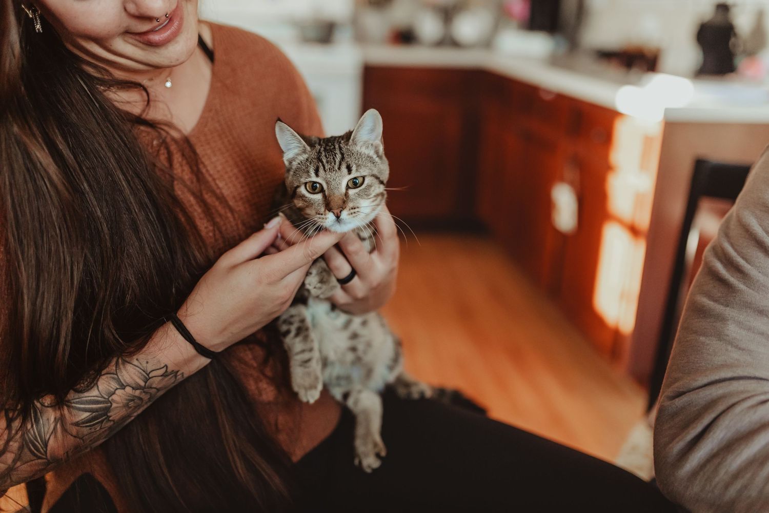 Person holding a grey tabby cat in a kitchen setting.