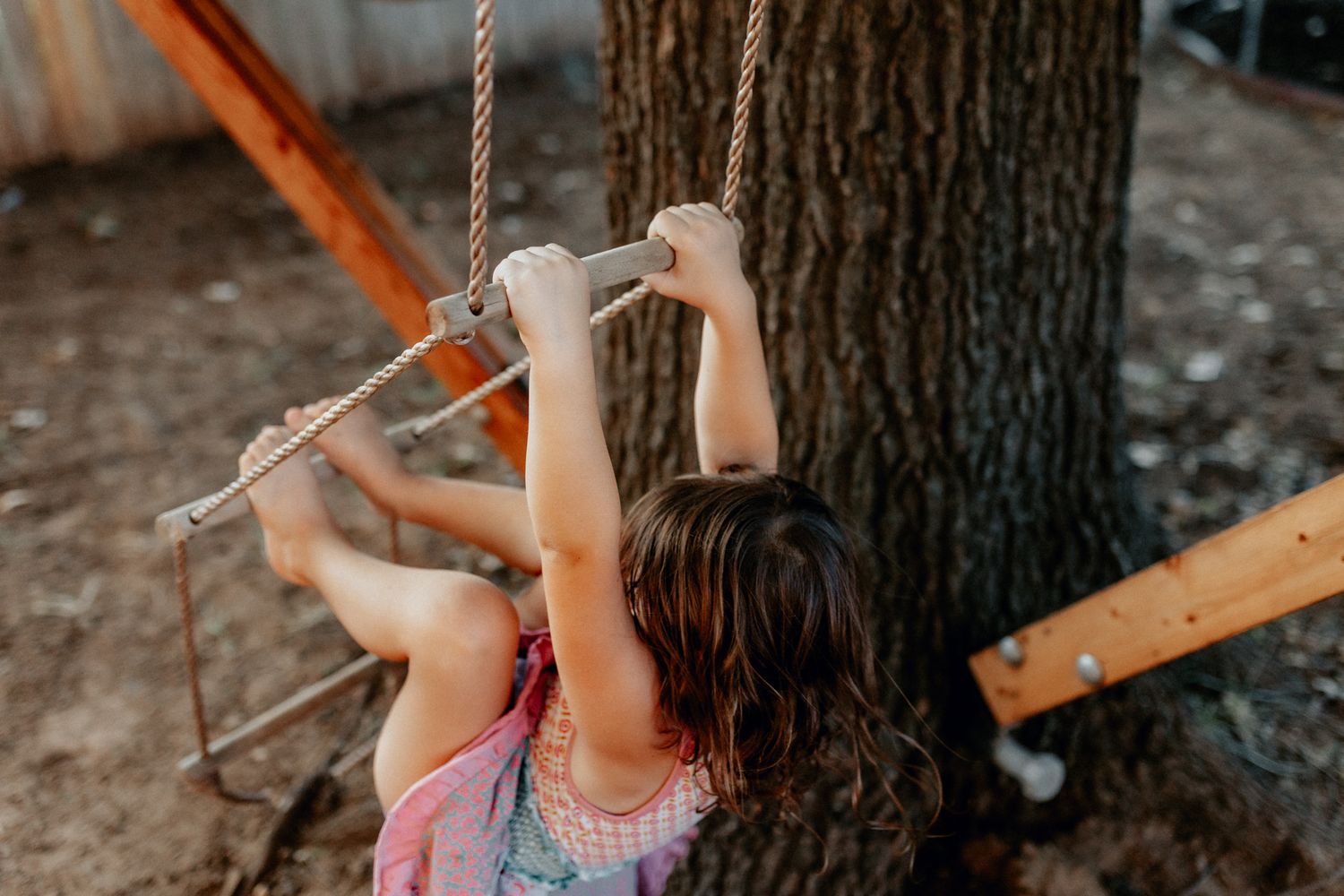 Children practicing outdoor climbing techniques on a rope swing attached to a large tree.