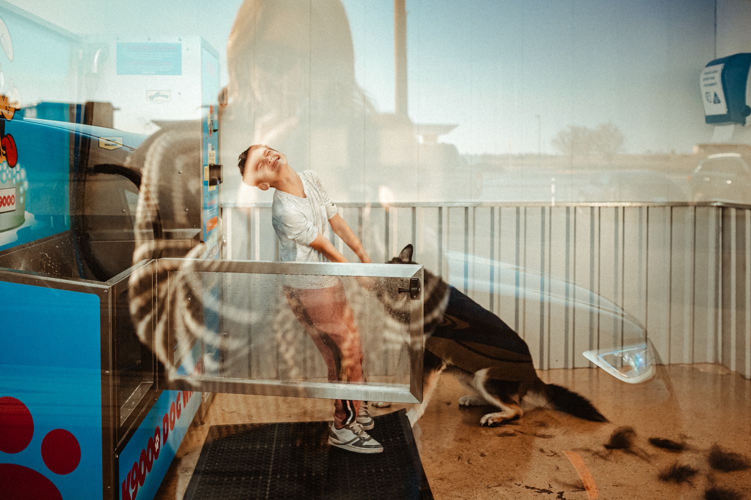 Person laughing with a German Shepherd dog inside a pet grooming shop, viewed through a glass window.